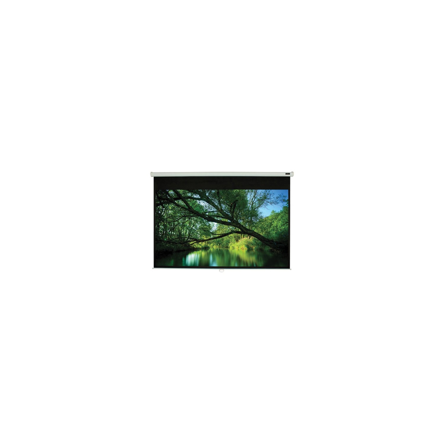 EluneVision Triton Manual Pull-Down 84'' Square Format Projector Screen