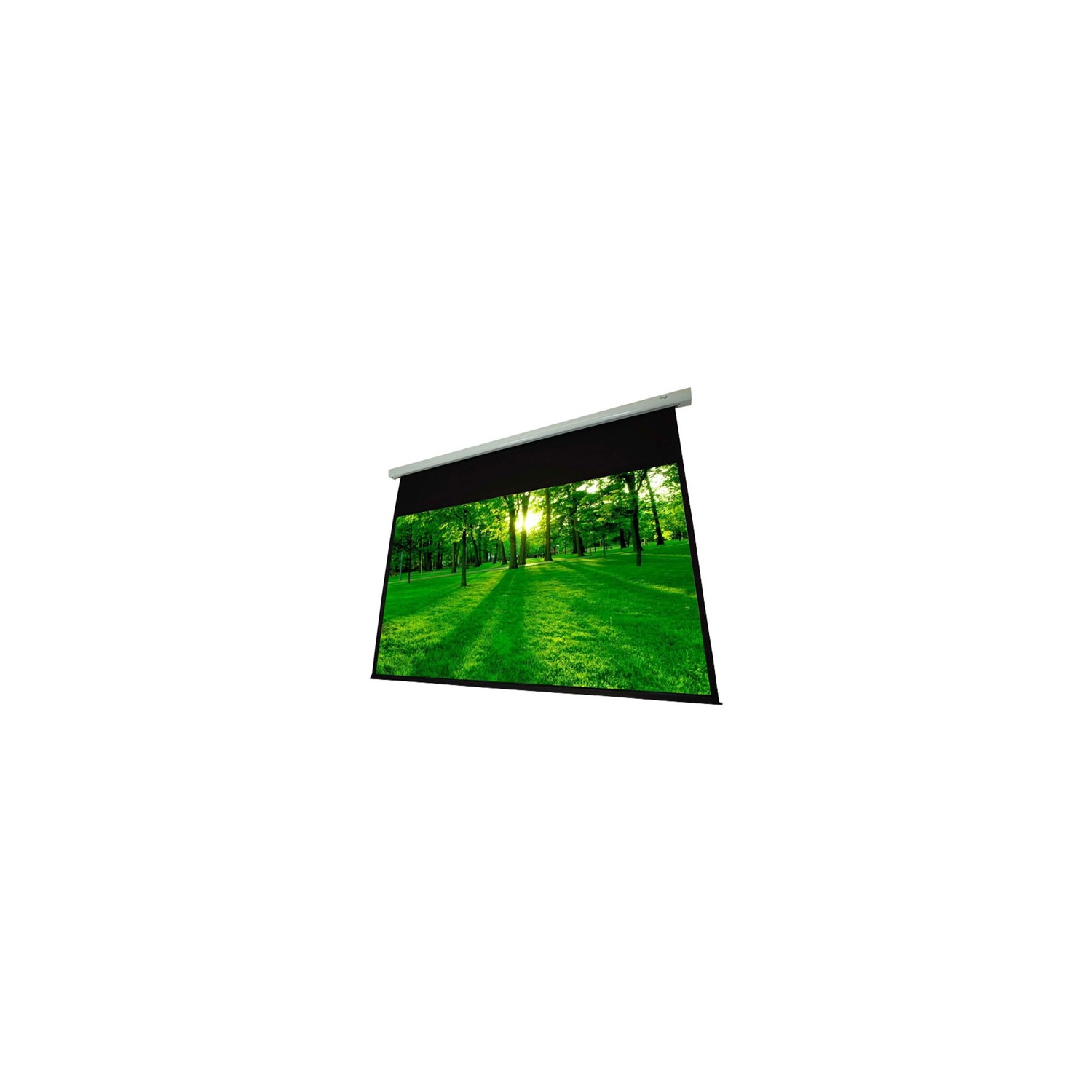 EluneVision Luna Series 120" 1.1 gainMotorized Projection Screen 