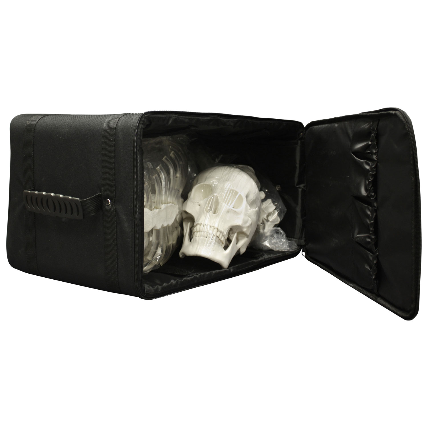 Étui de transport de modèle anatomique et de microscope de 51 cm de Walter Products