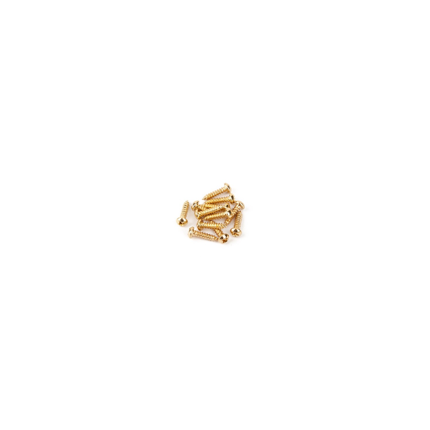 Fender® Pure Vintage Tuning Machine Mounting Screws - Pkg of 12