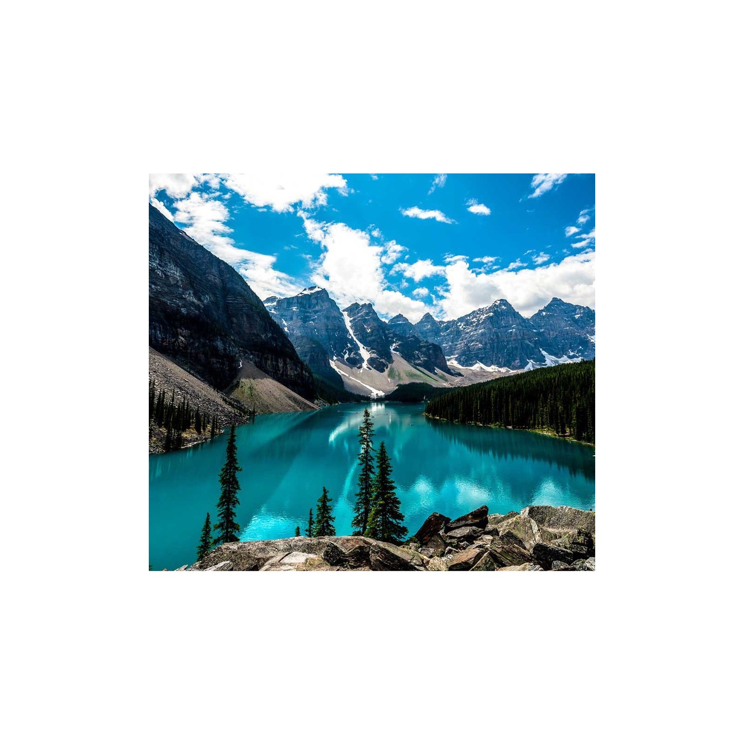 ViewSonic VA2456-MHD 24" Frameless IPS 1080p Monitor with HDMI DisplayPort and VGA "puts for Home and Office