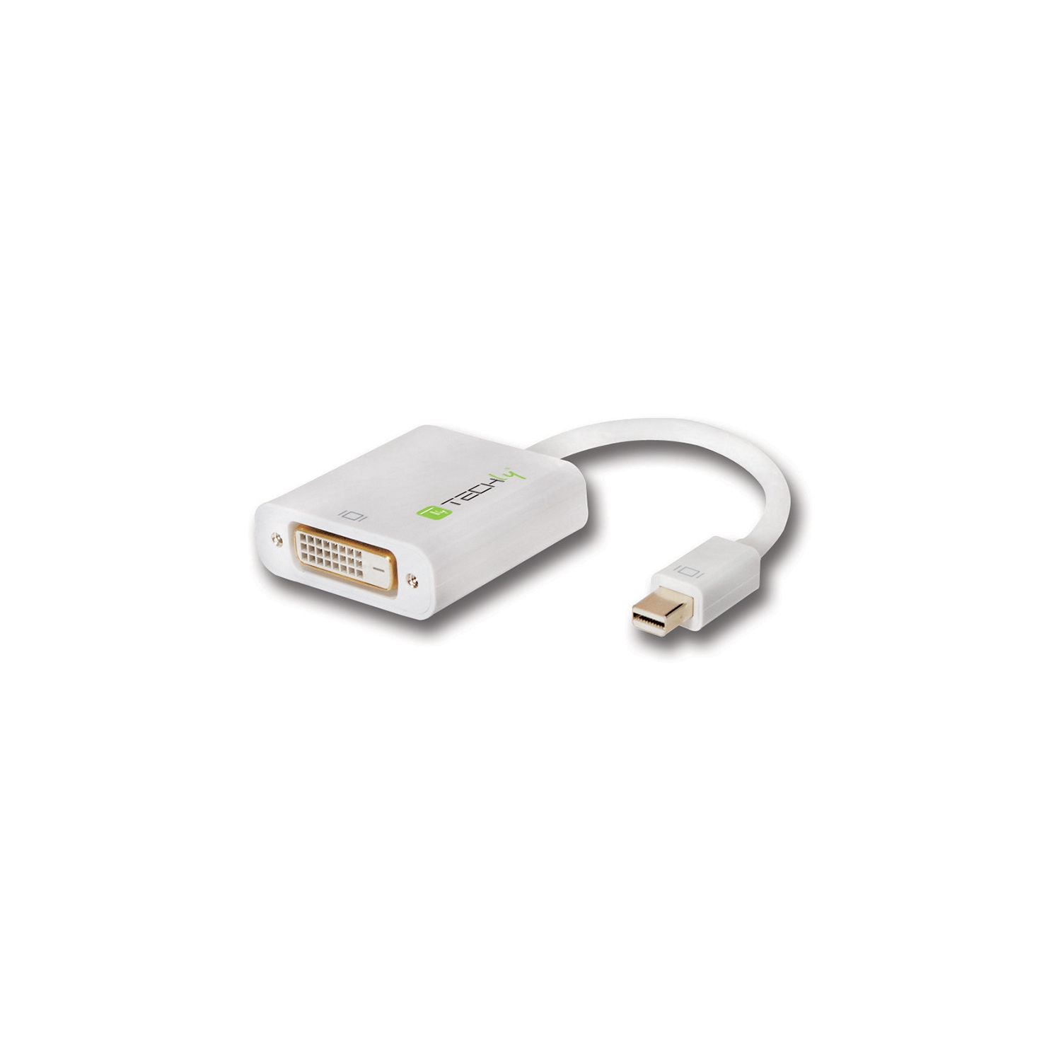 Techly – Mini DisplayPort 1,2 mâle vers DVI 24 + adaptateur 15&nbsp;cm femelle 1, blanc