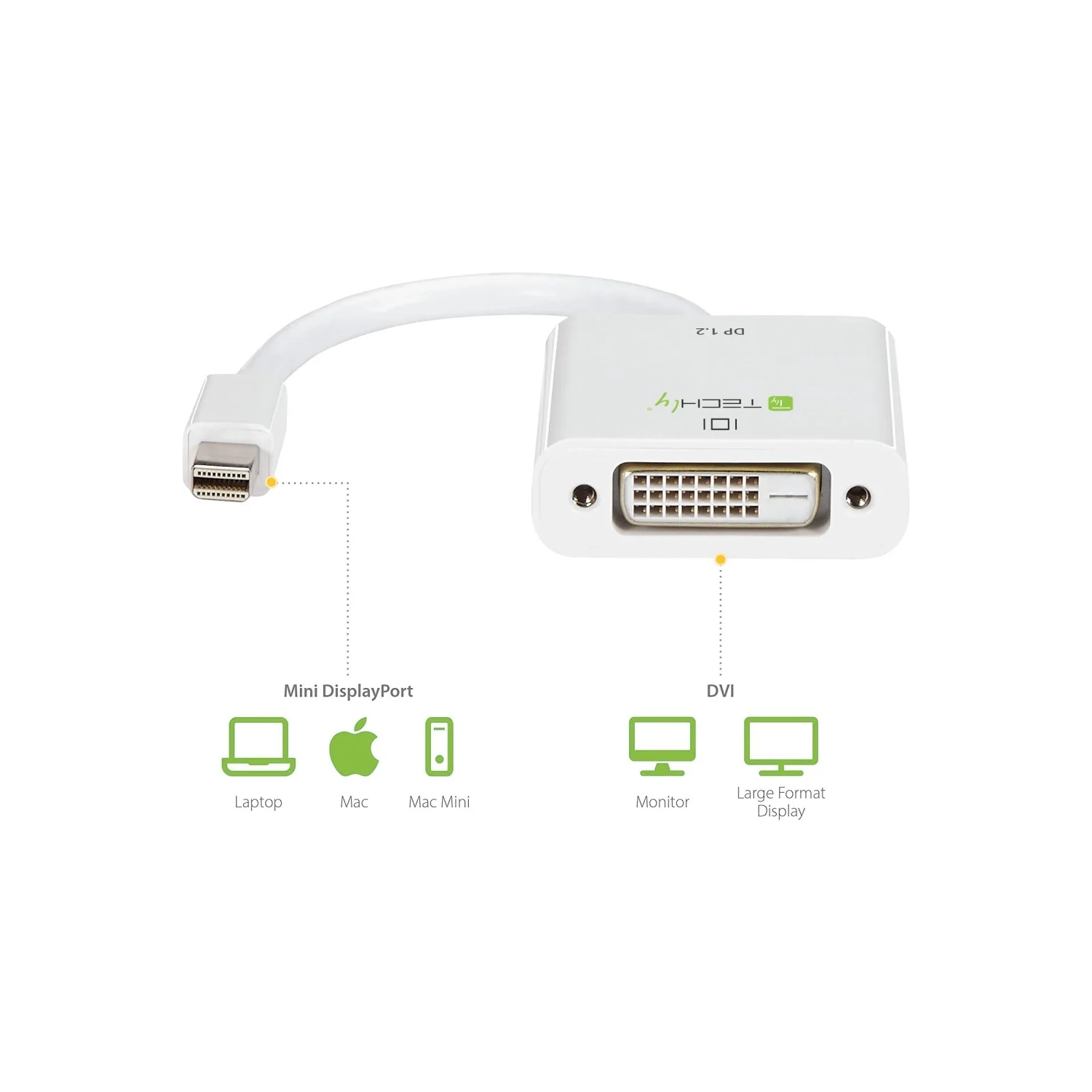 Techly – Mini DisplayPort 1,2 mâle vers DVI 24 + adaptateur 15&nbsp;cm femelle 1, blanc