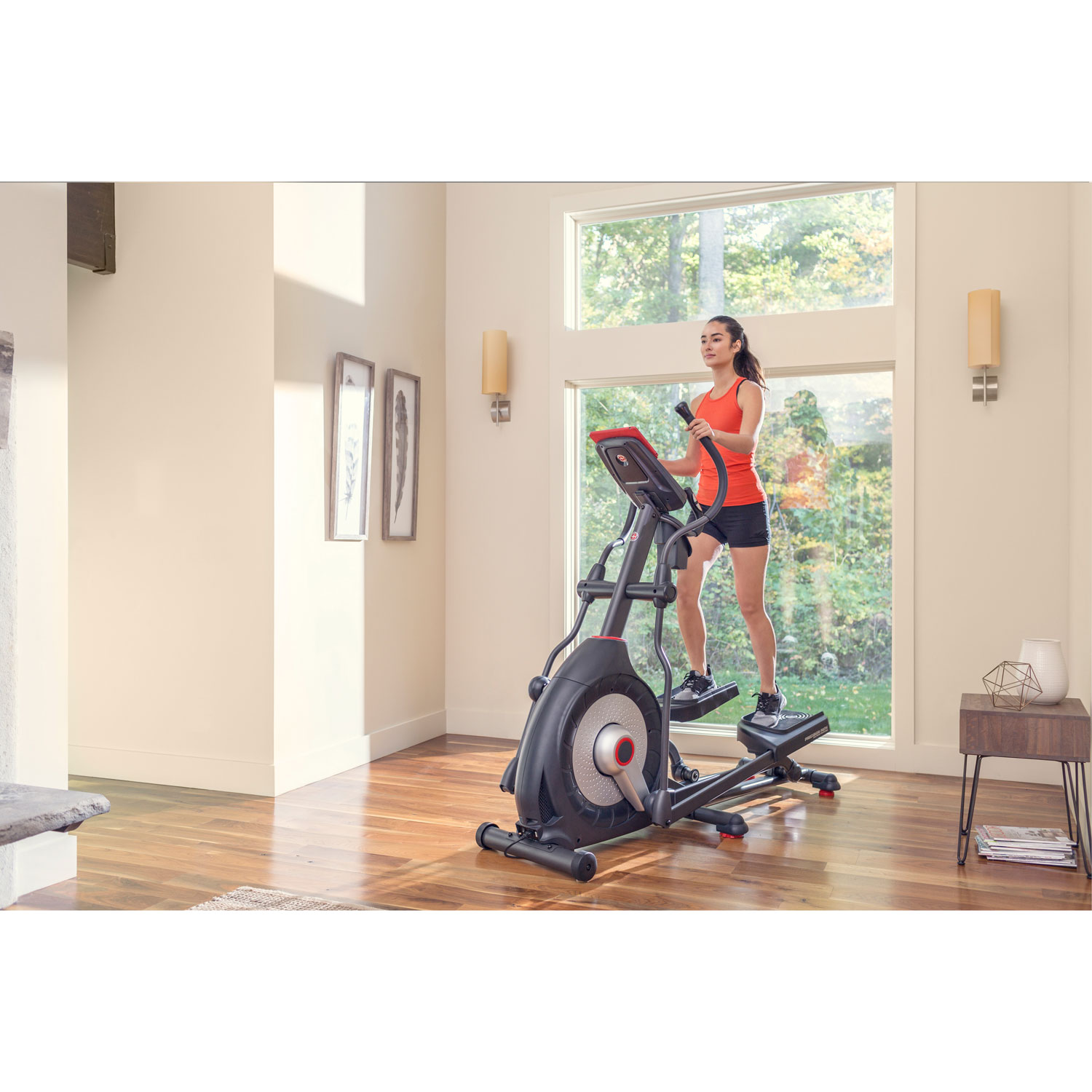 Schwinn 470 Elliptical Best Buy Canada