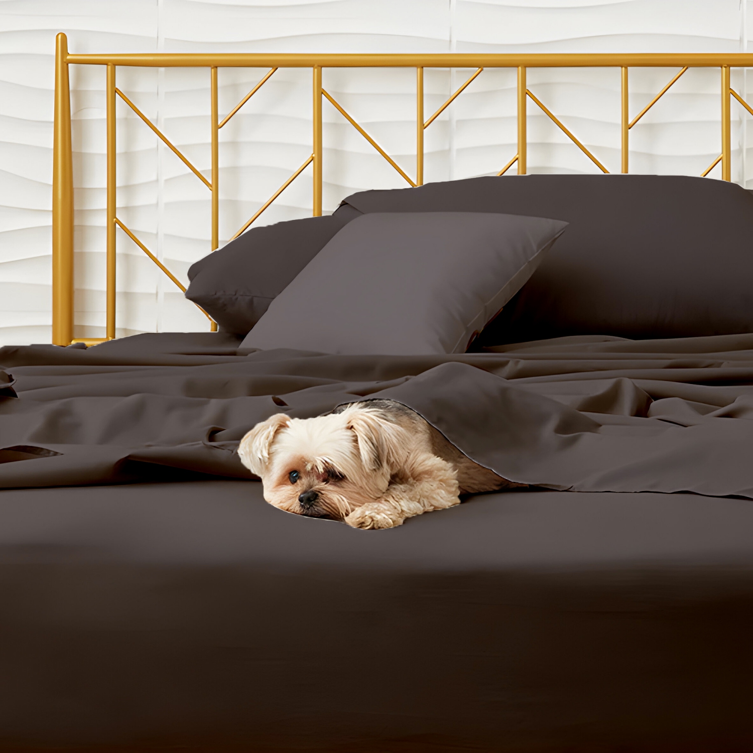 CONFORT ÉGYPTIEN – Ensemble de draps légers soyeux – Micro brossé – Passe profonde – Ensemble de 3 pièces