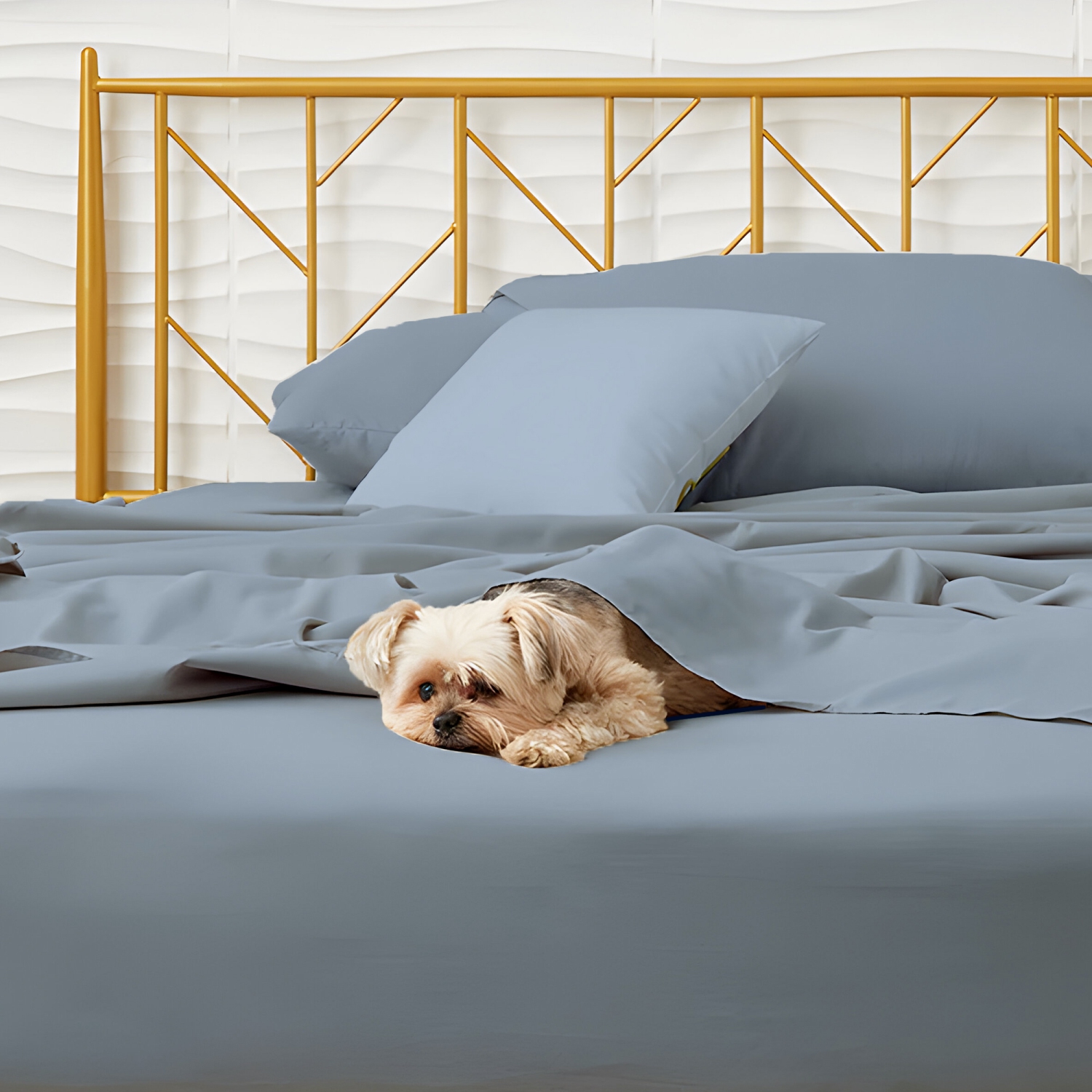 CONFORT ÉGYPTIEN – Ensemble de draps légers soyeux – Micro brossé – Passe profonde – Ensemble de 3 pièces