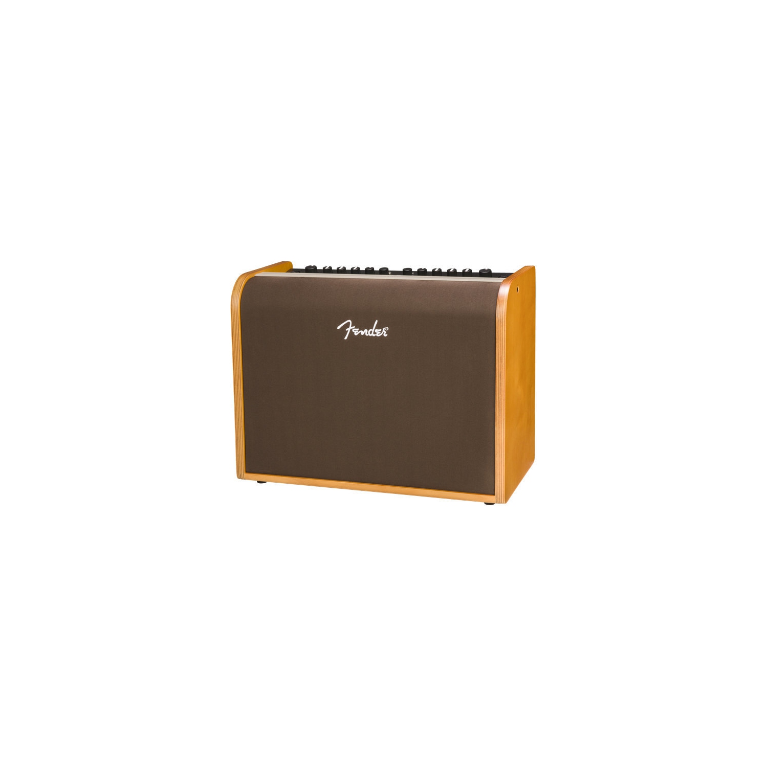 Fender Acoustic 100 Amplifier