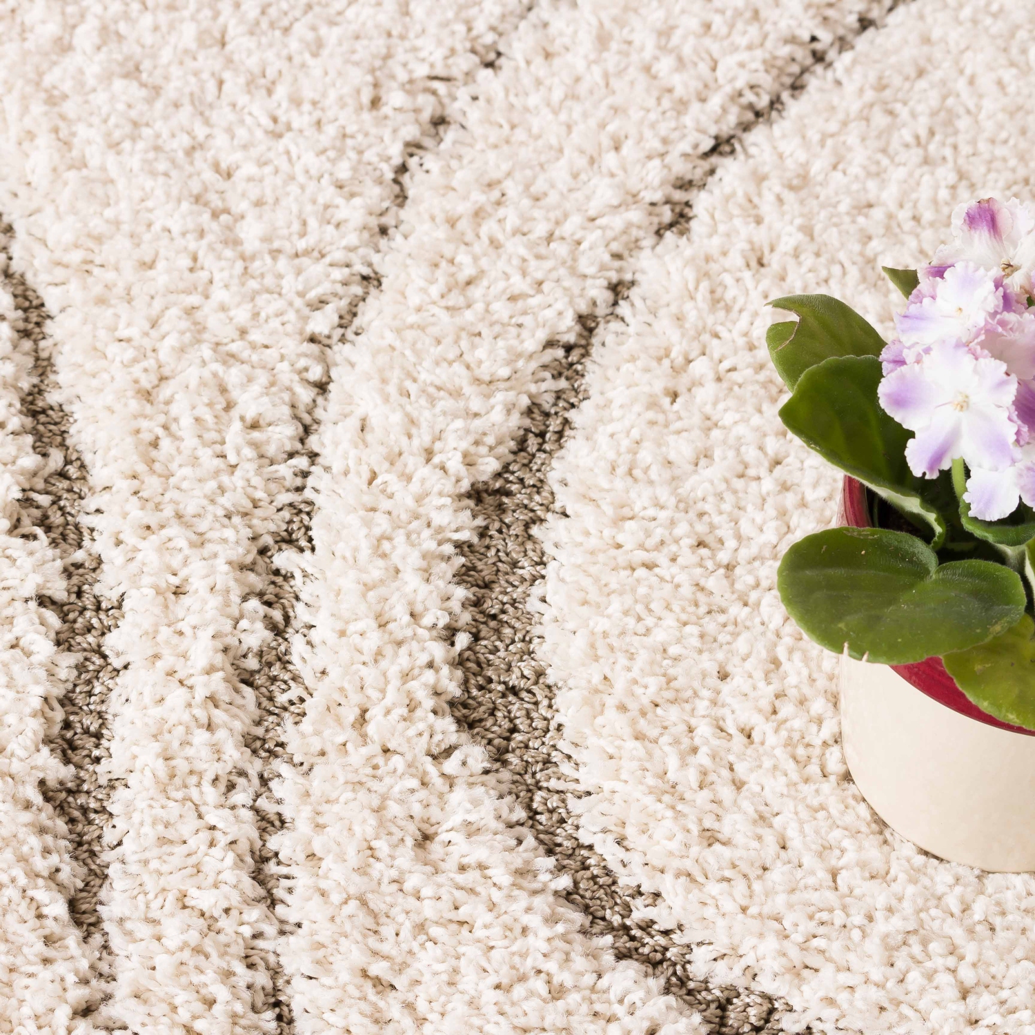 AG Home Oakville 5'3" x 7'7" Area Rug - Cream