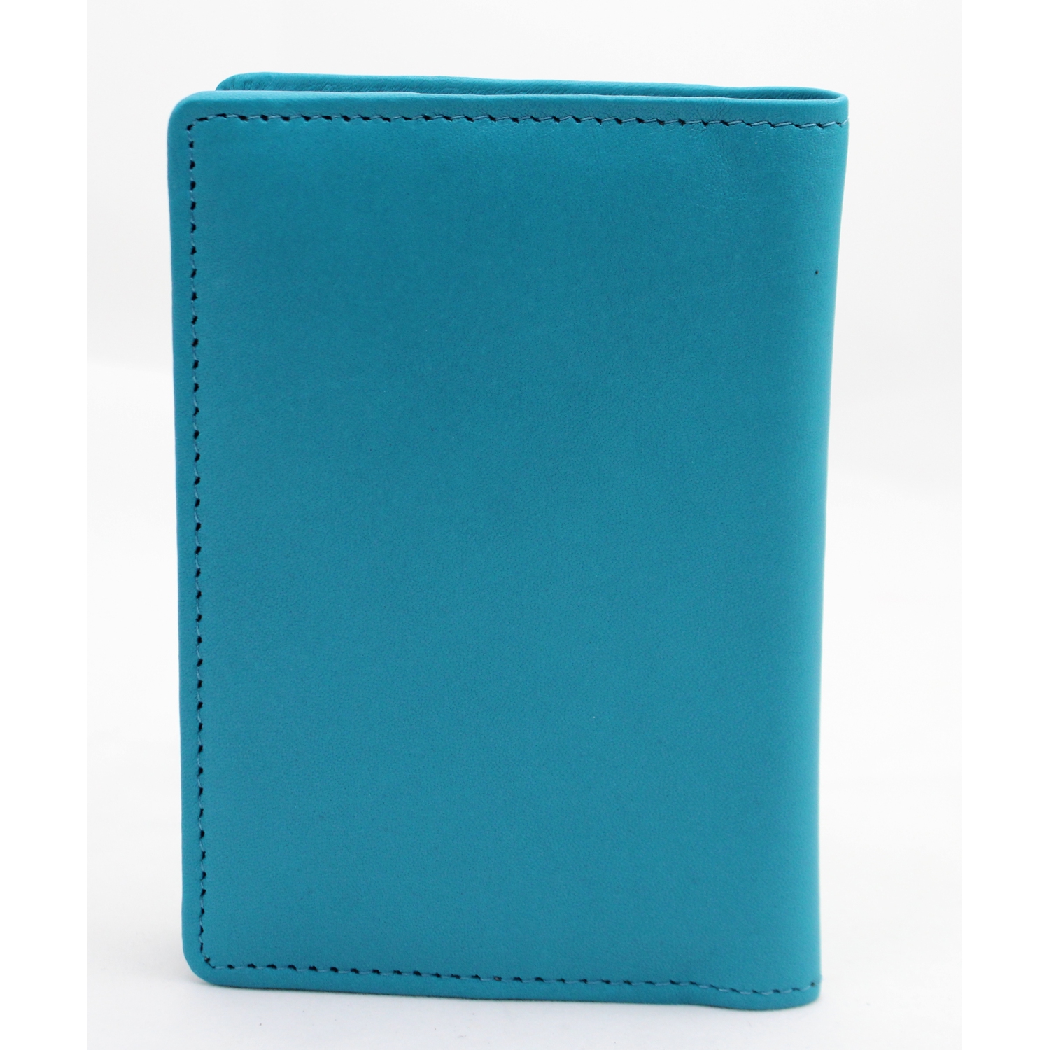 Ashlin® DESIGNER | OMAHA Simple Passport wallet