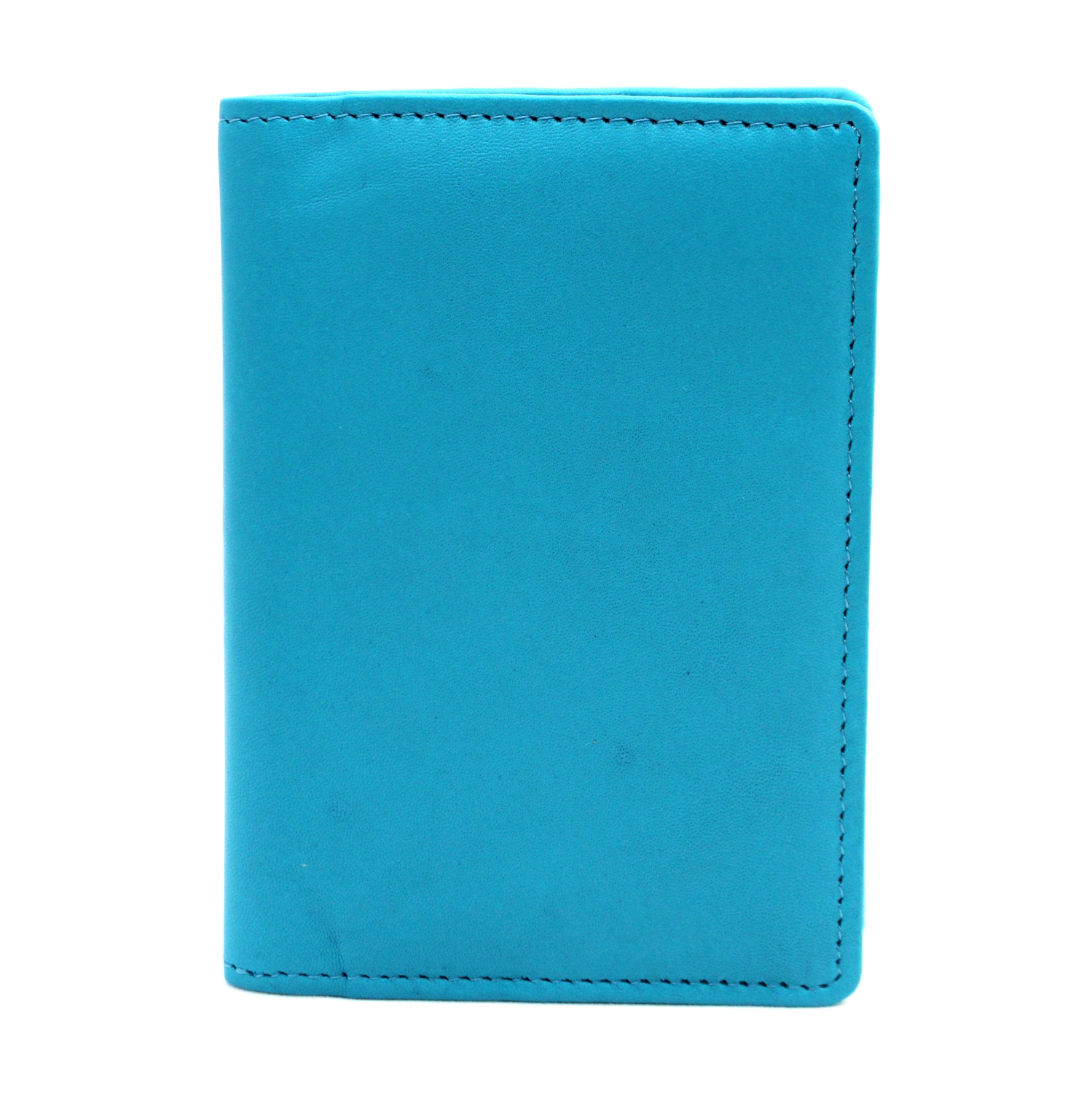 Ashlin® DESIGNER | OMAHA Simple Passport wallet