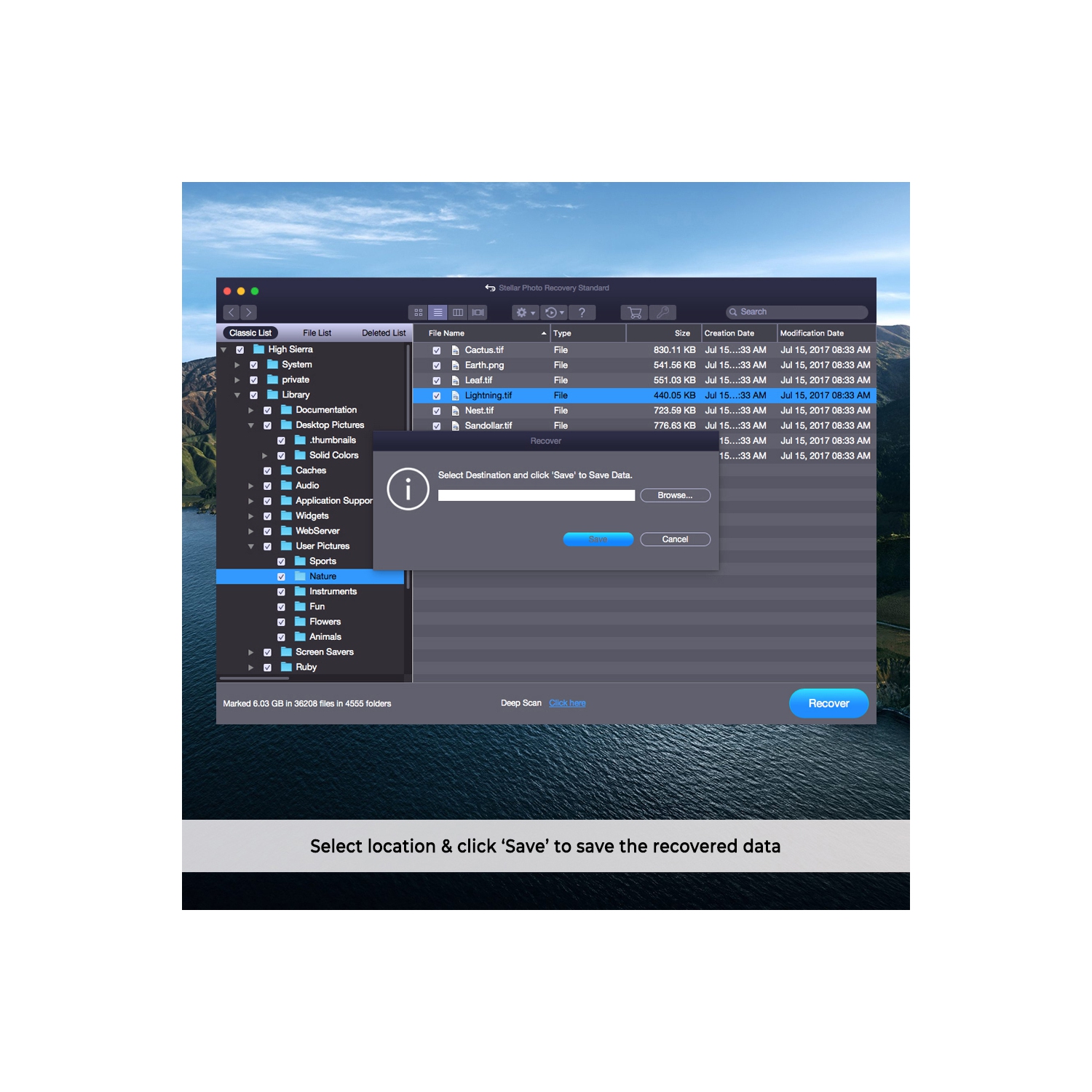 Stellar Photo Recovery Software V11 | Mac | Standard | 1 PC 1 Year | - Digital Download