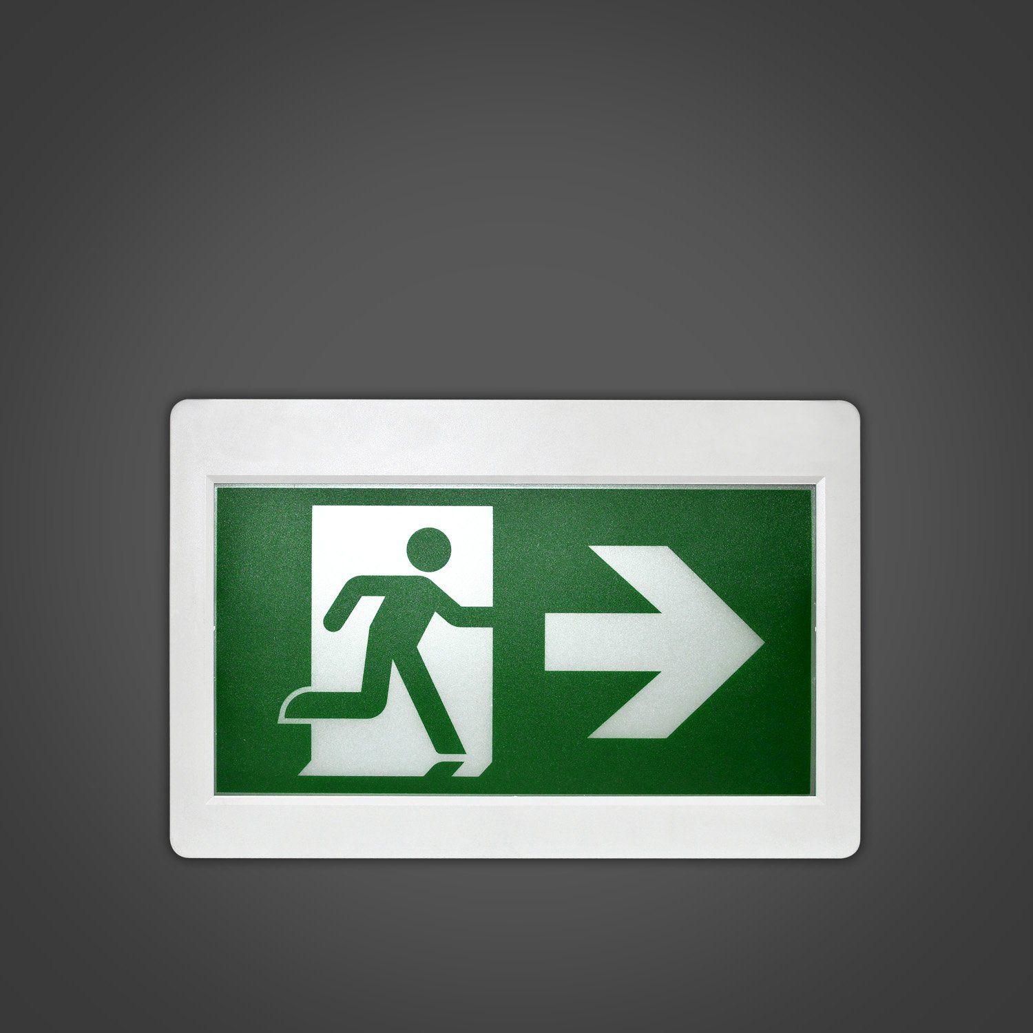 Xtricity LED emergency exit light with 3 pictograms