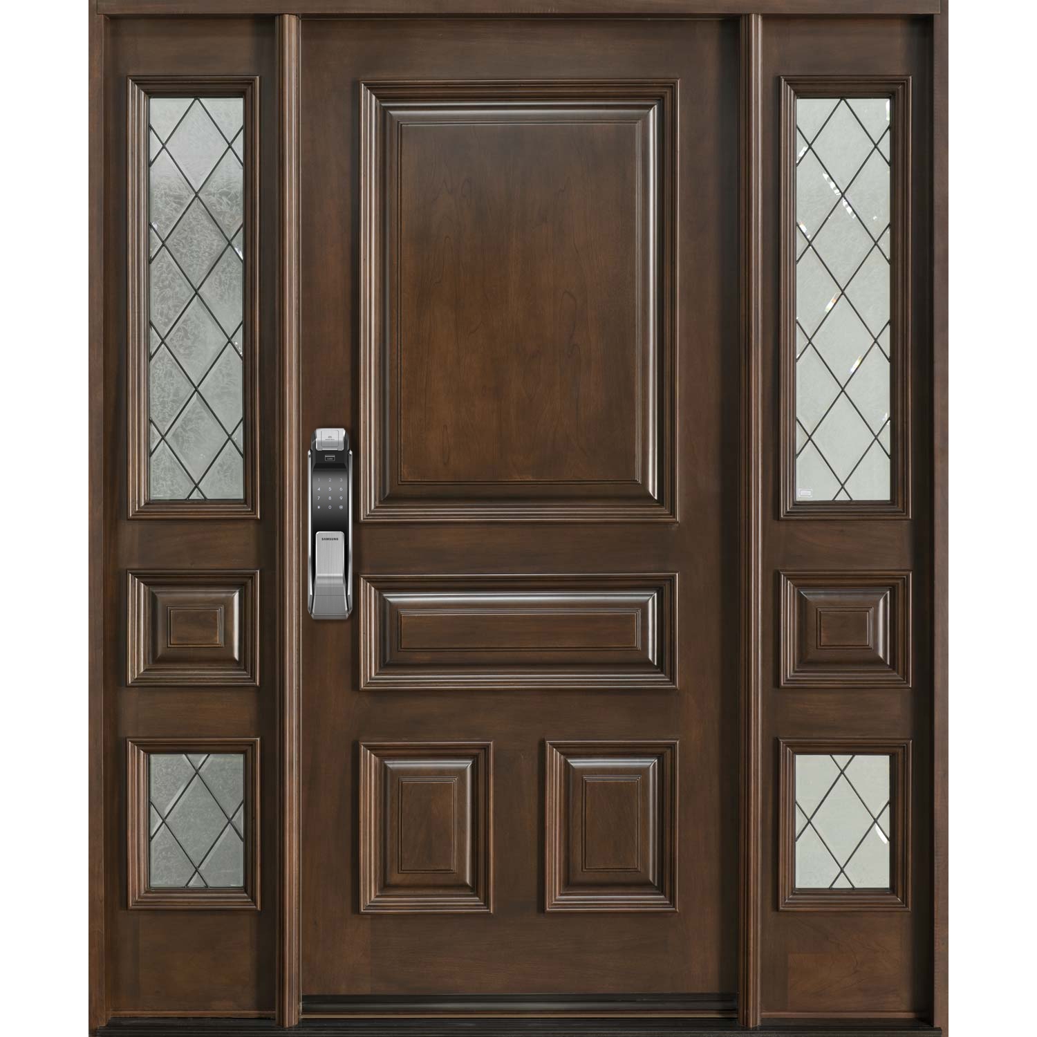 Samsung Smart Digital Push and Pull Handle Mortise Door Lock with Fingerprint