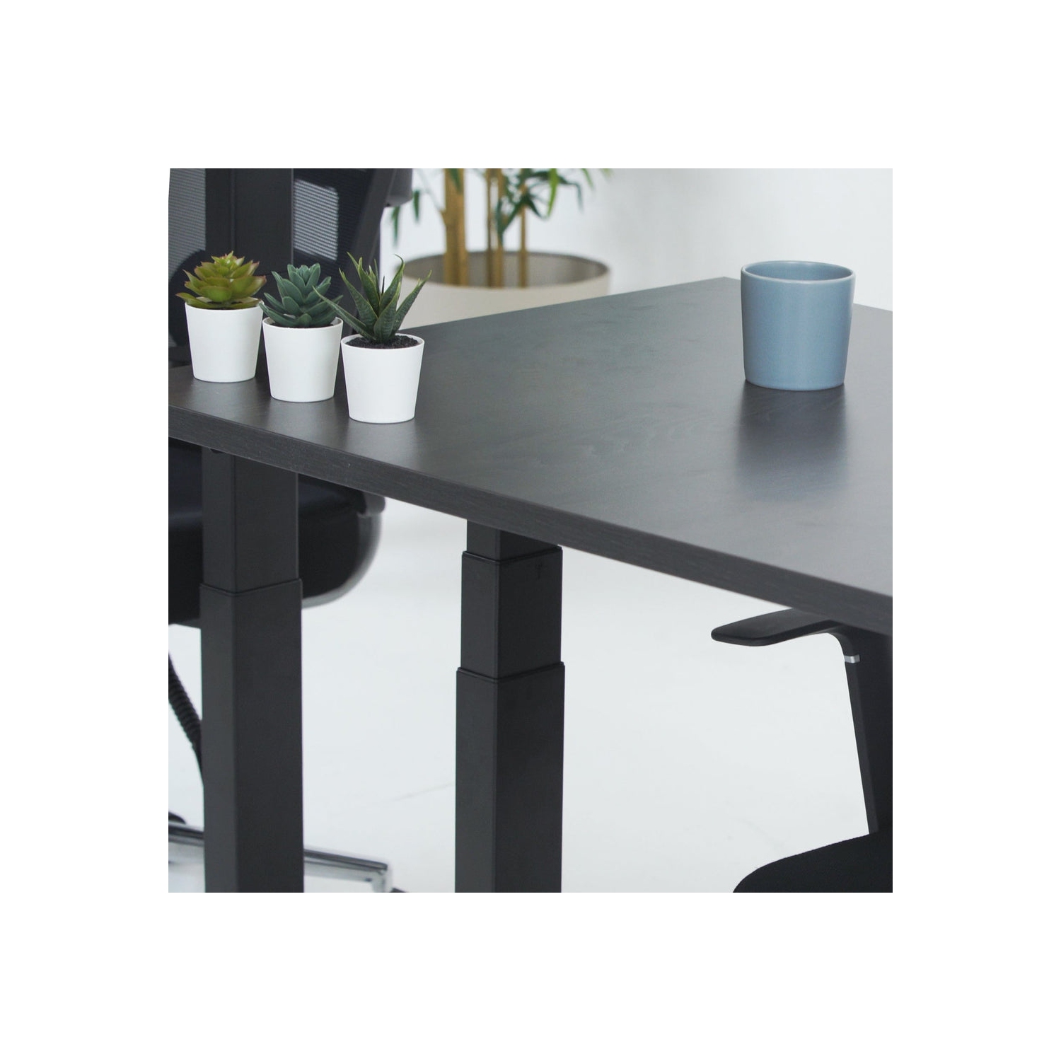 MotionGrey Height Adjustable German Electric Dual Motors Sit to Stand Computer Home and Office Standing Desk Riser - Black Frame