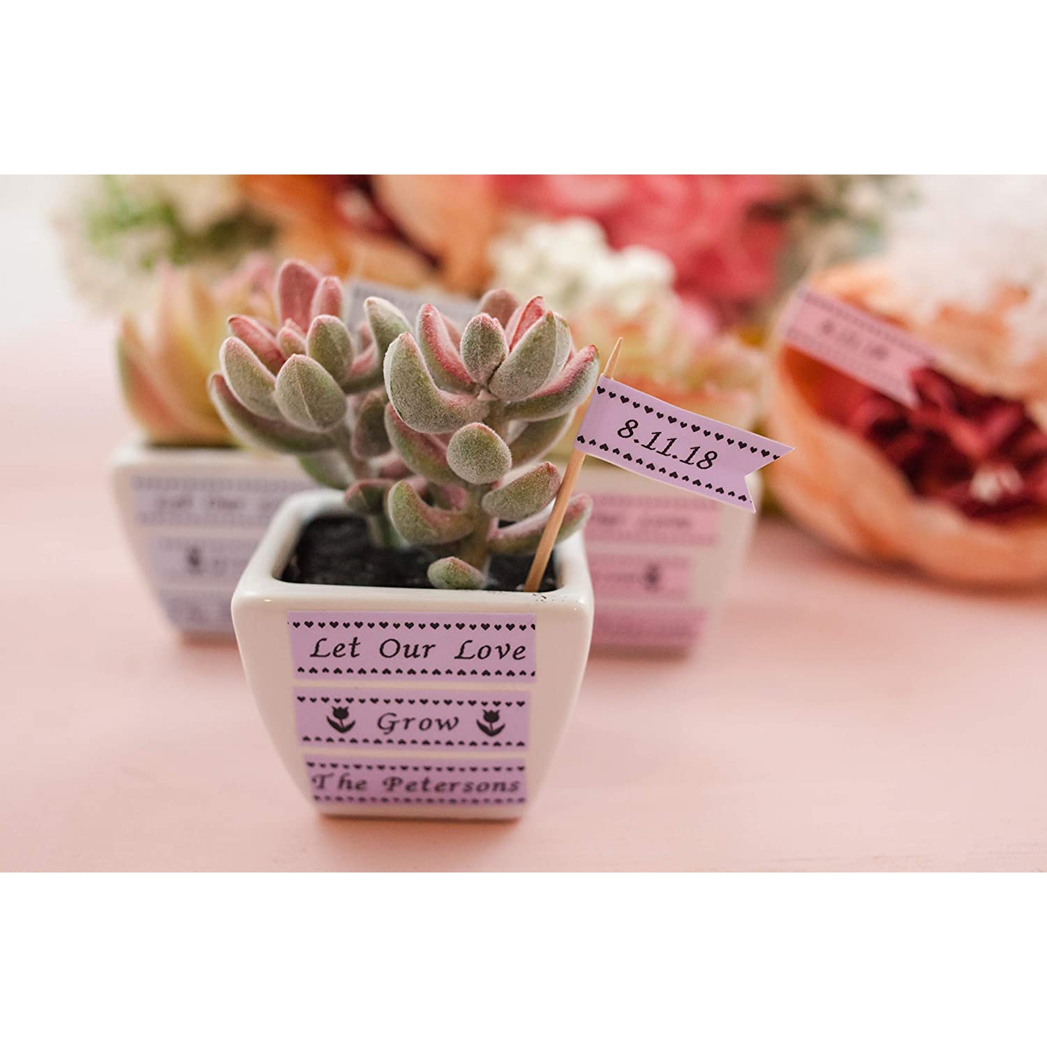 Brother PT-H200BP Electronic Labelling System