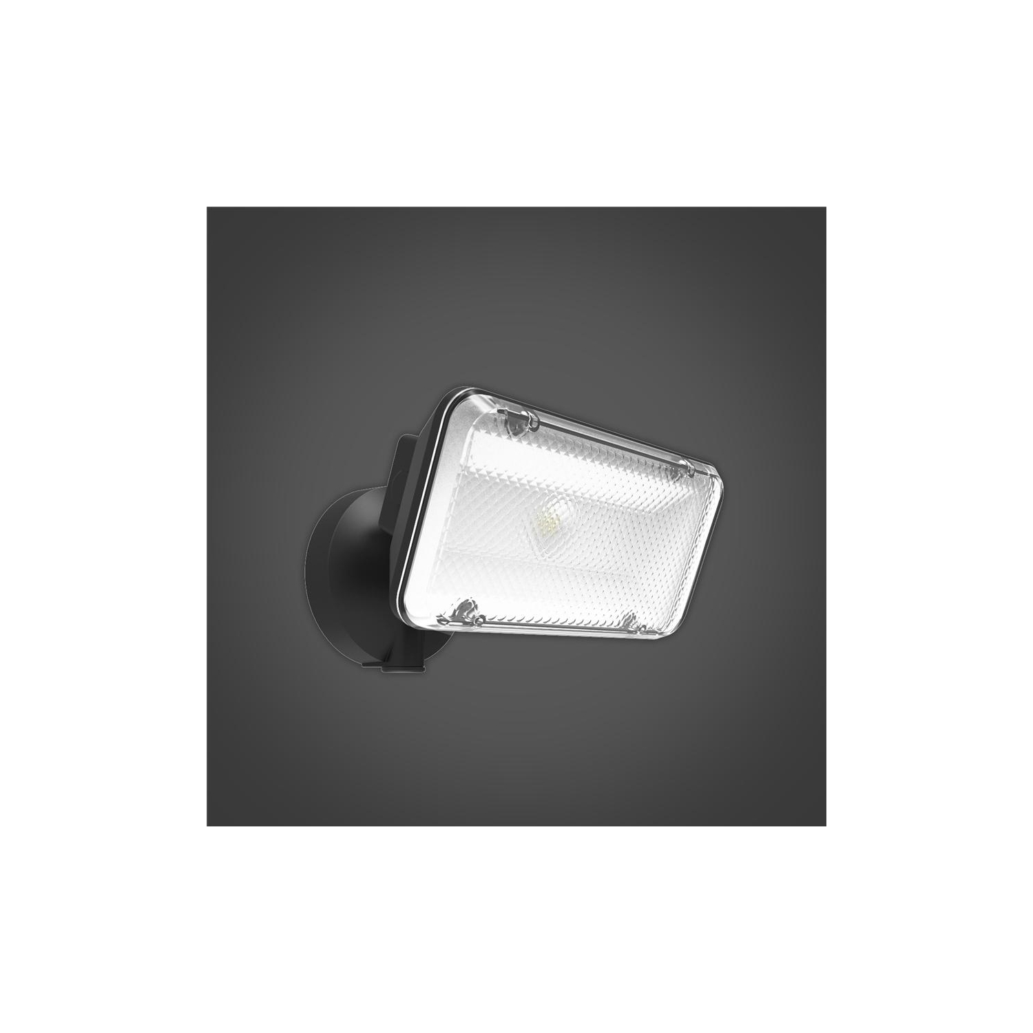Xtricity fixture extérieur de sécurité au del 14w/4000k blanc froid/1400l