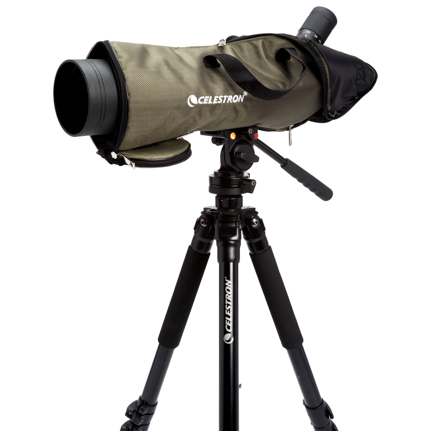 Lunette d'observation Trailseeker 20x-60x de Celestron