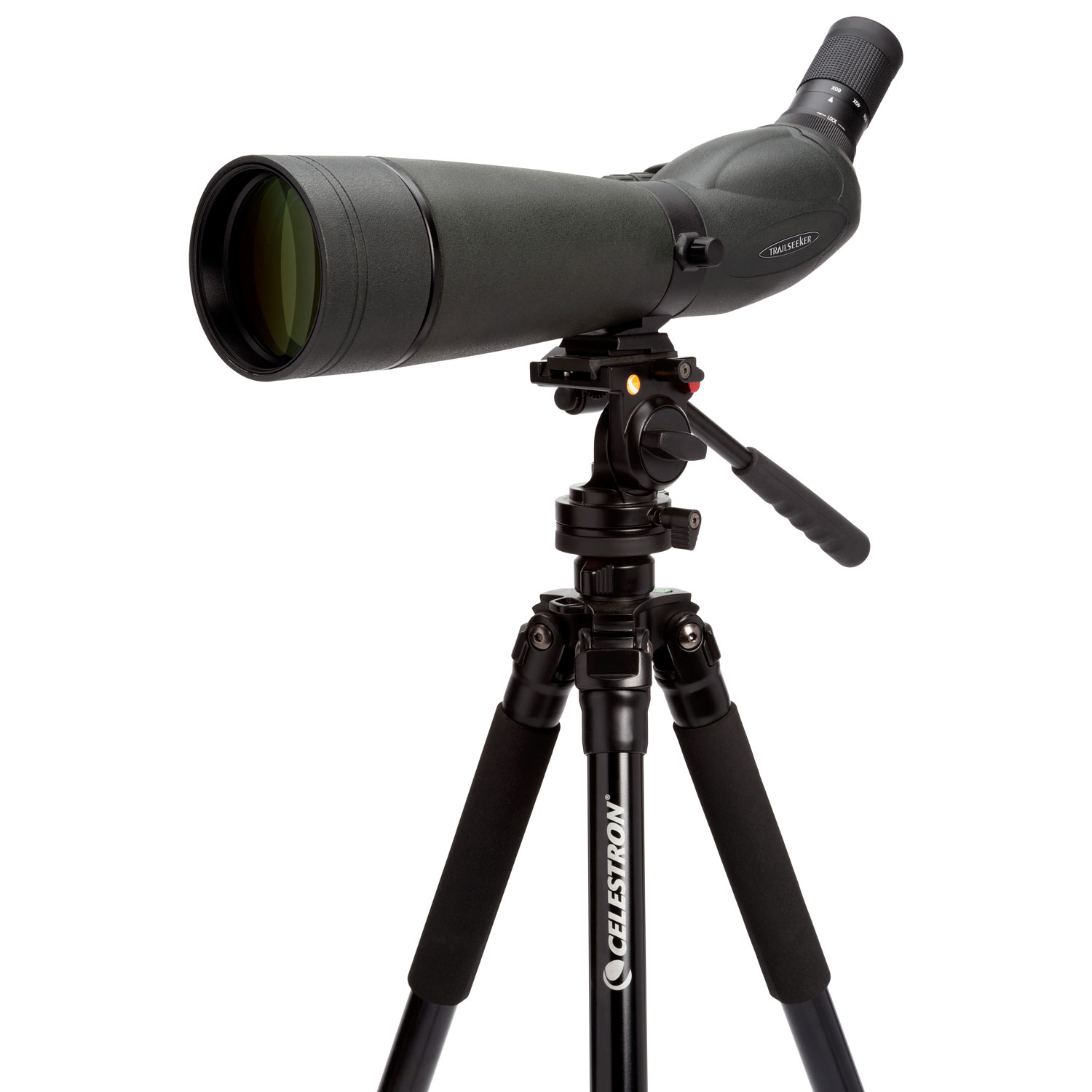 Lunette d'observation Trailseeker 20x-60x de Celestron