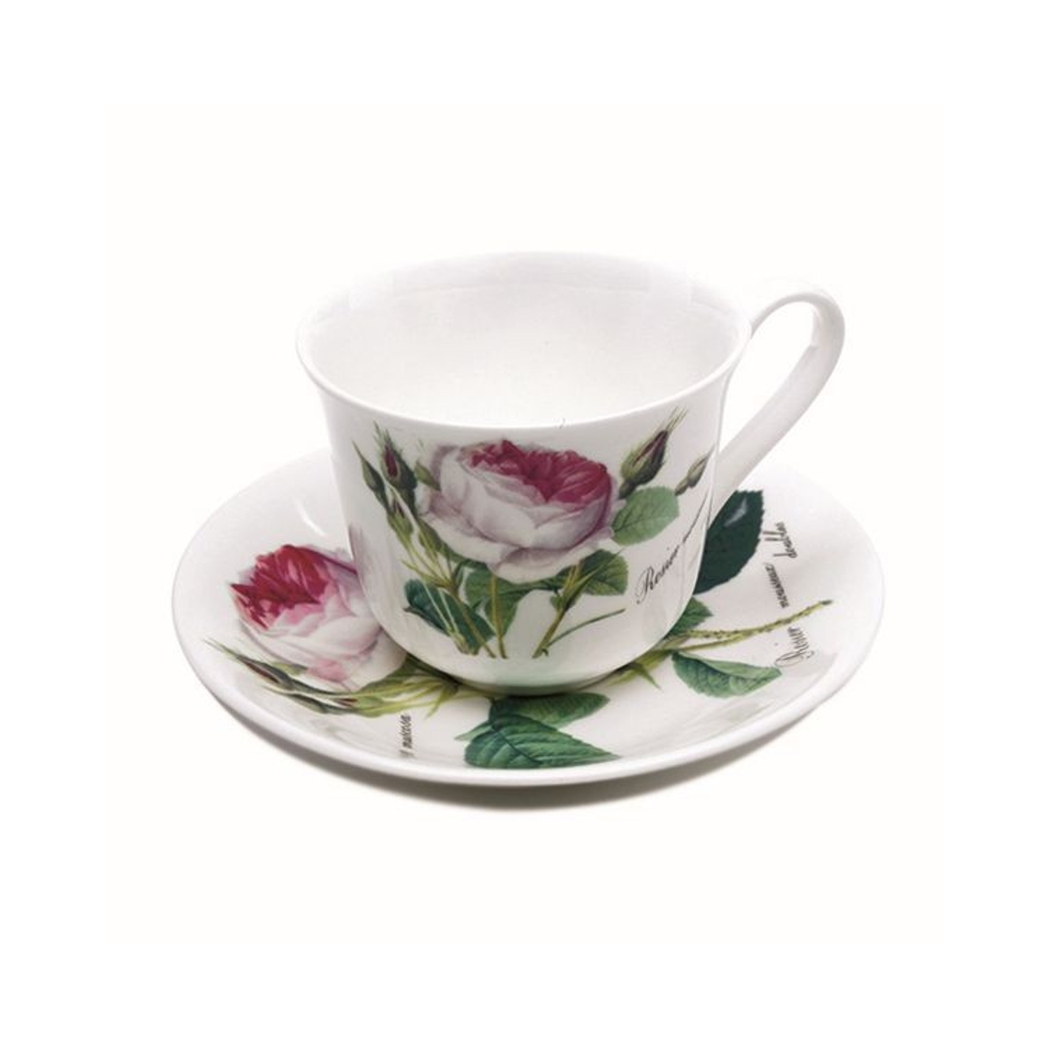 Roy Kirkham Teacup and Saucer Set of 2 - Redoute Rose