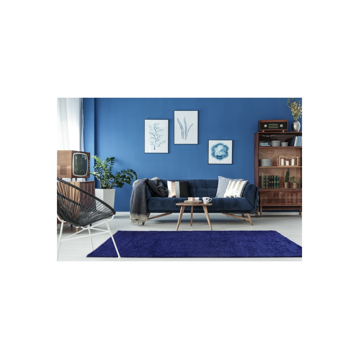 Meknes Shag Navy Blue Area Rug 5'2" x 7'5"