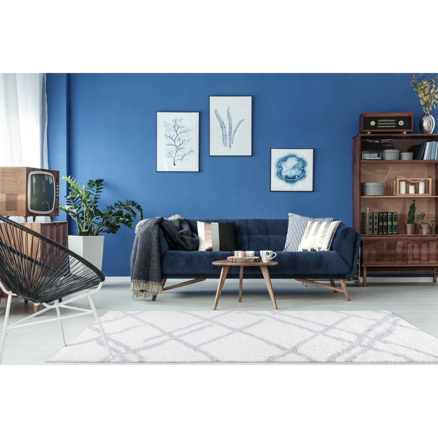 Tangier Shaggy White Light Gray Area Rug 2'7" x 4'11"