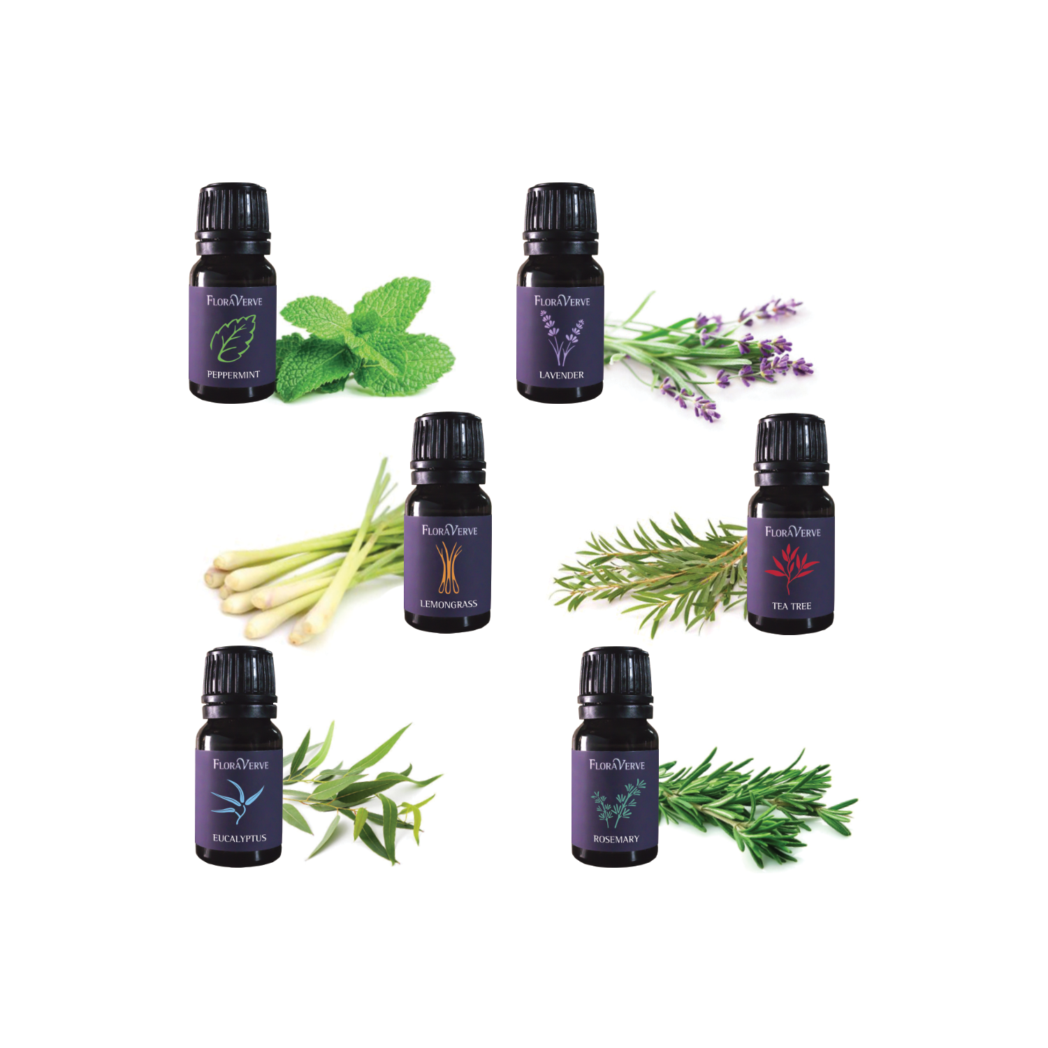 Floraverve Exclusive Huiles Essentielles, Collection Top 6 Scents - Huiles Essentielles Naturelles - 6 x 10 ml