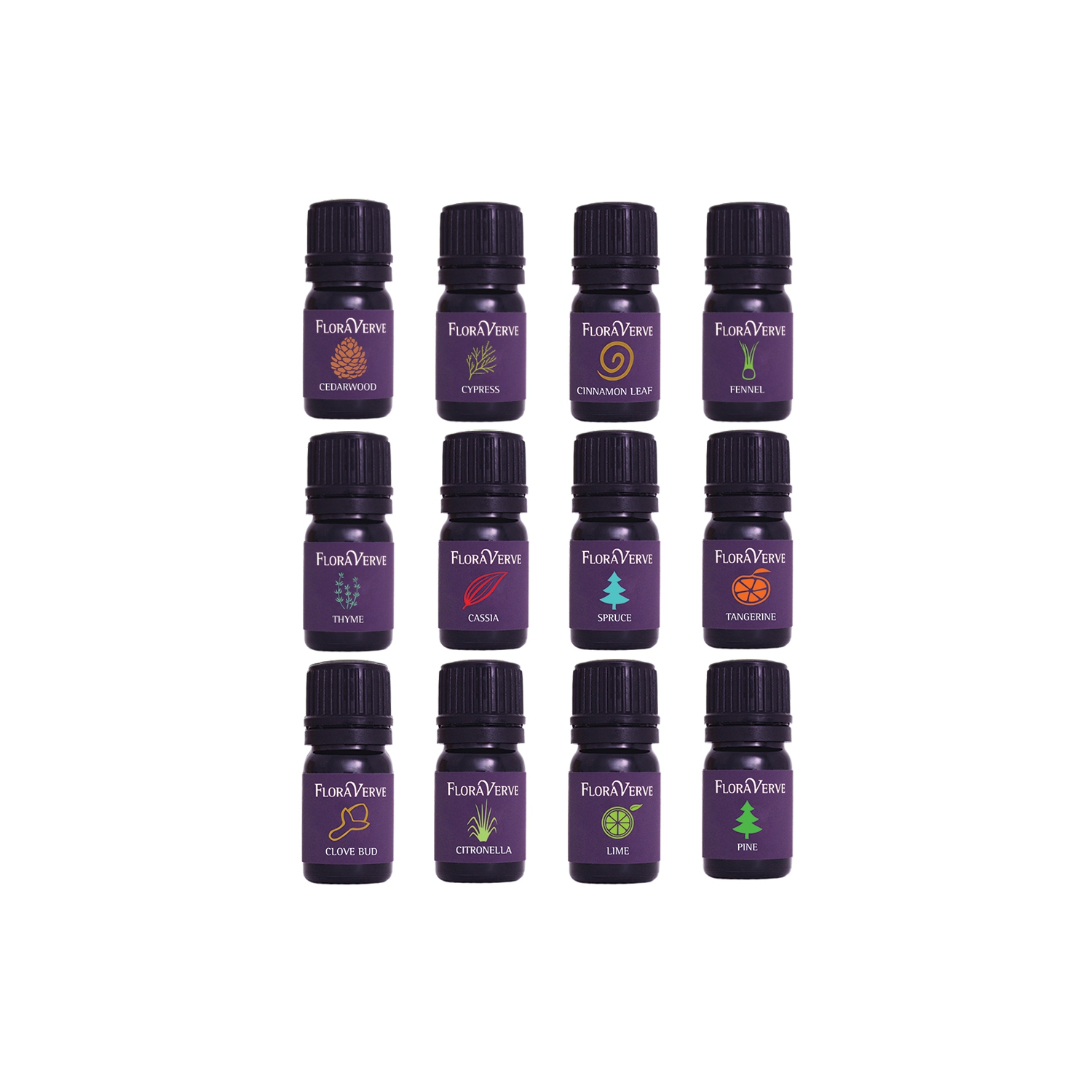 Floraverve Vigor Essential Huiles, Ensemble de collection 12 senteurs naturel pour huiles essentielles aromathérapie naturelle - 12 x 5 ml