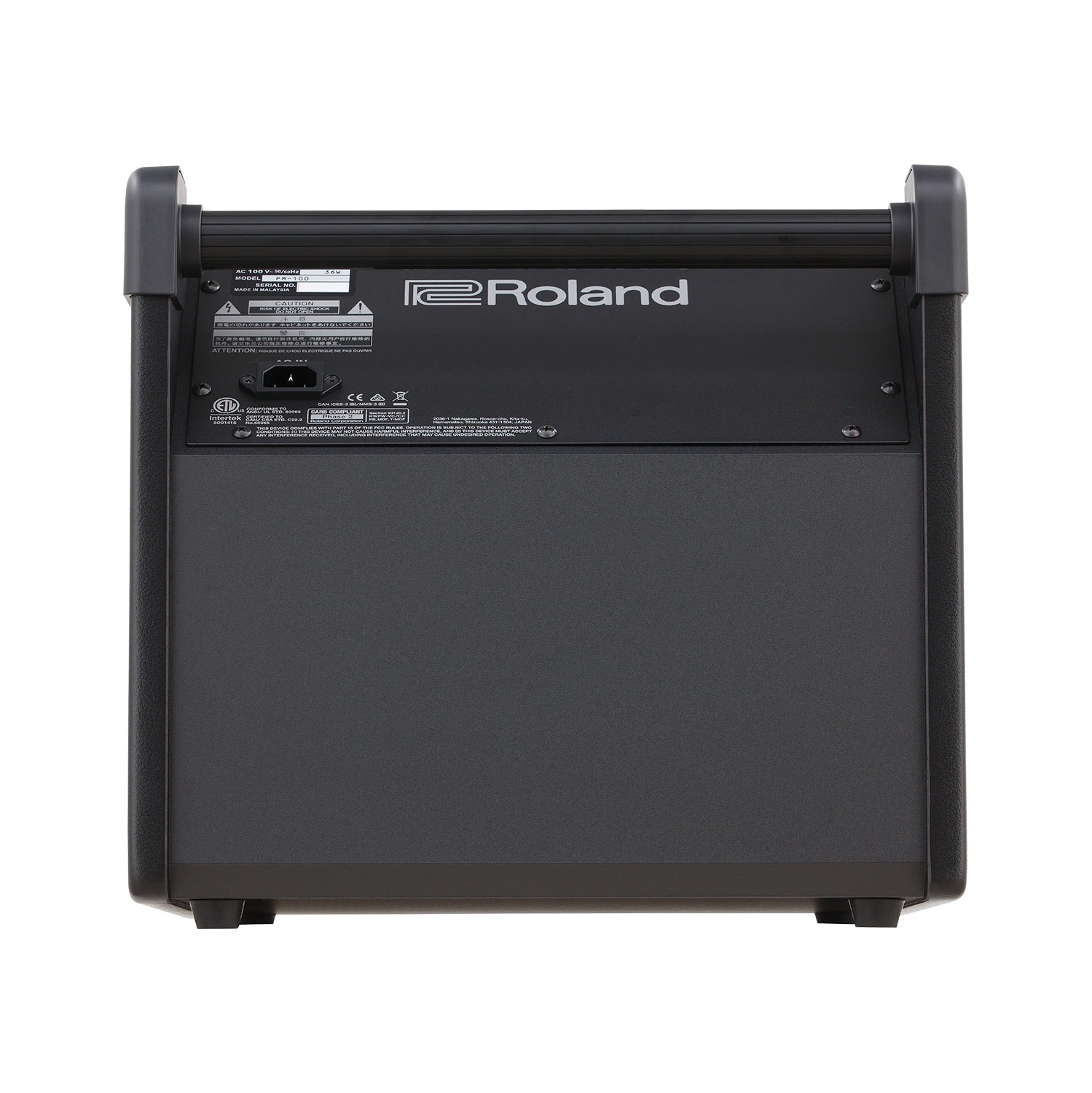 Roland PM-100 amplificateur