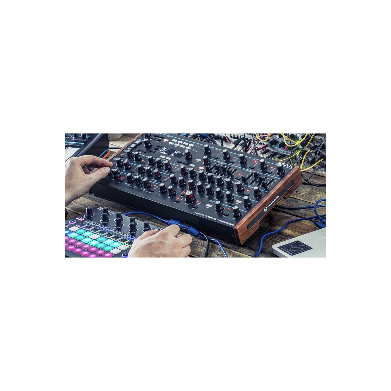 Synthétiseur polyphonique de bureau à 8 voix Peak de novation