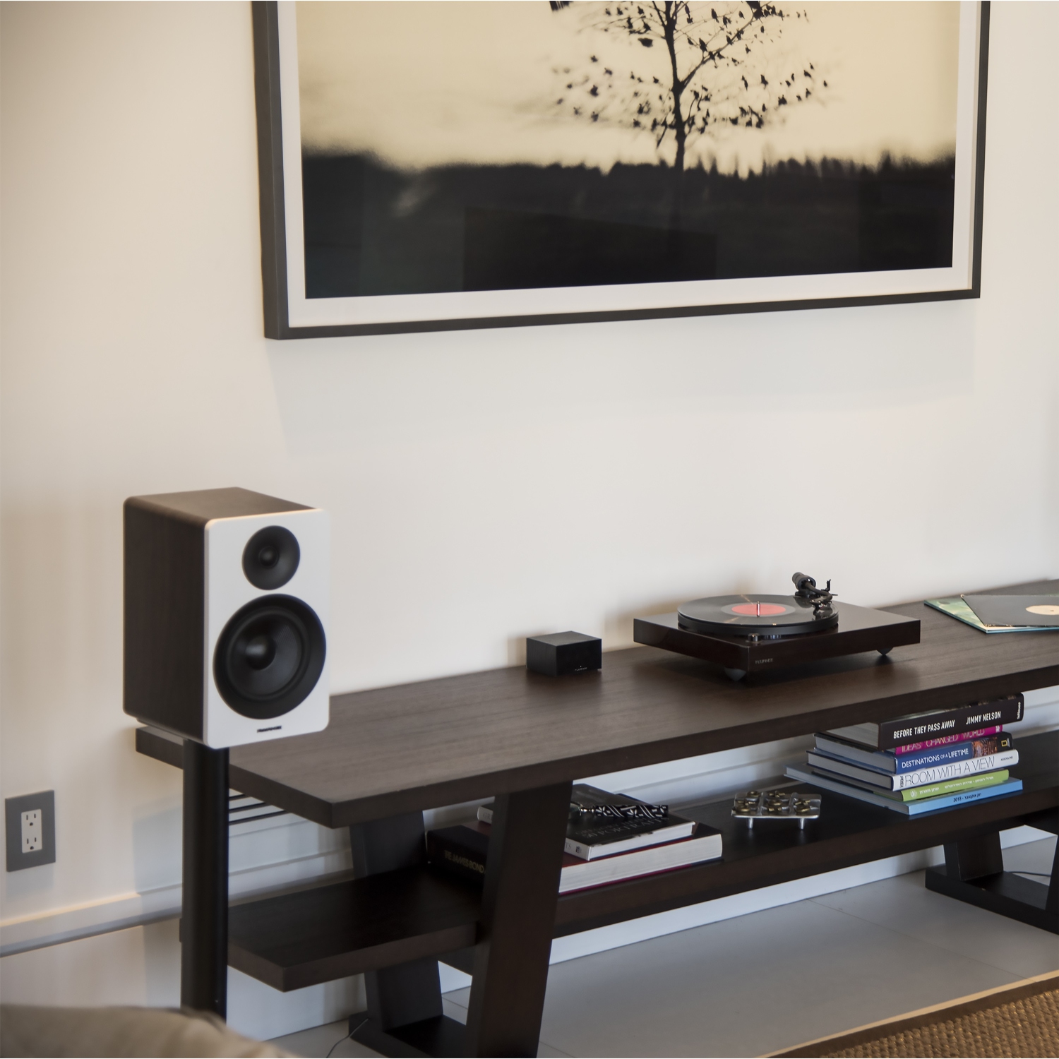 Fluance PA10 High Fidelity Phono Preamp with RIAA Equalization for MM Turntables/Vinyl Record Players