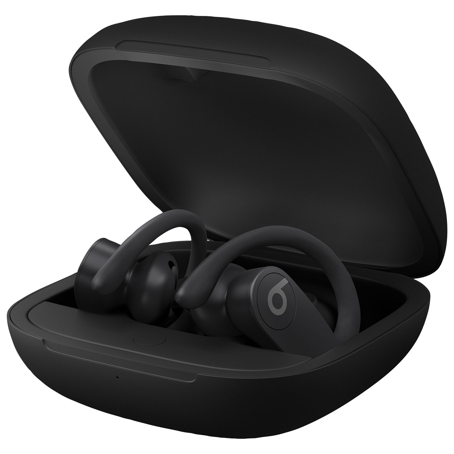 Beats by Dr. Dre Powerbeats Pro In-Ear True Wireless Earbuds - Black