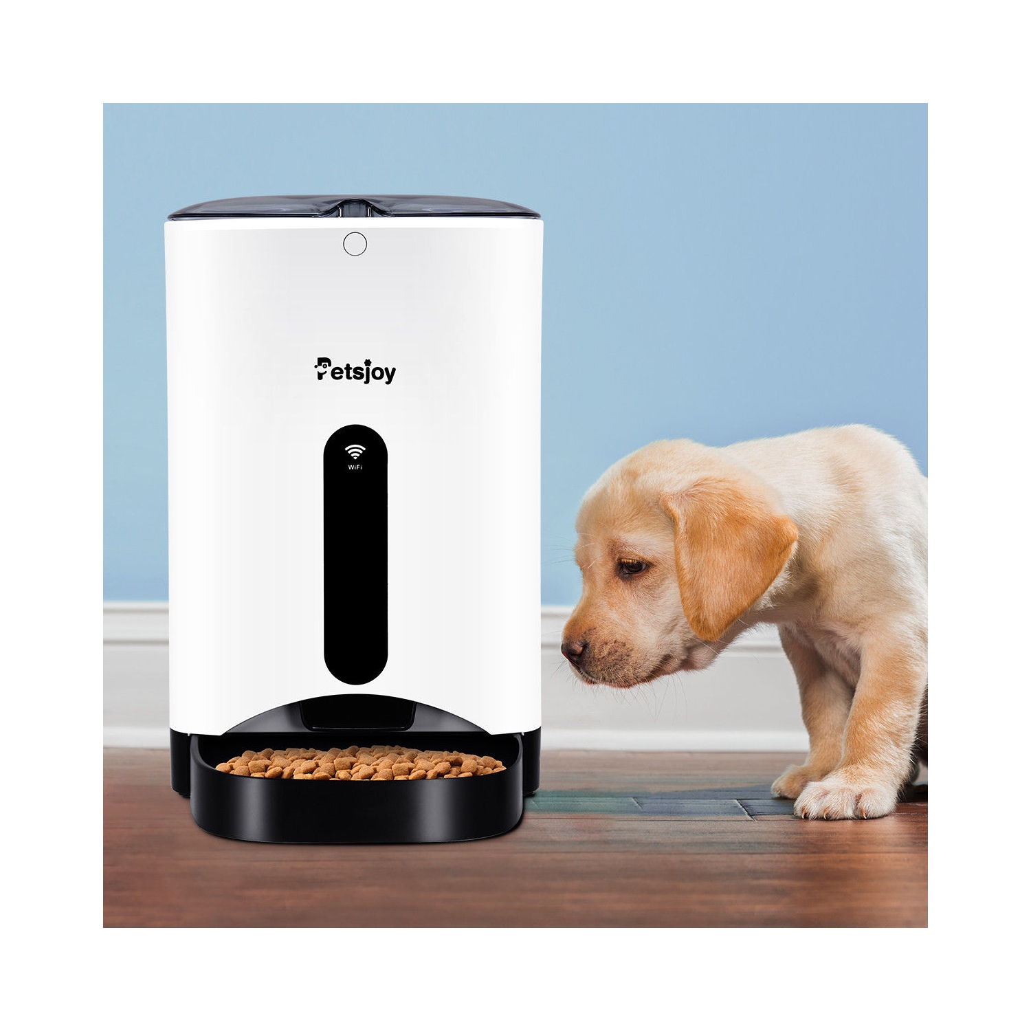 Gymax Automatic Pet Feeder Smart Cat Dog Food Dispenser