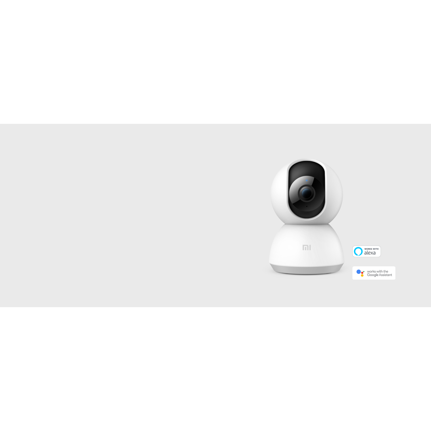 google assistant cctv