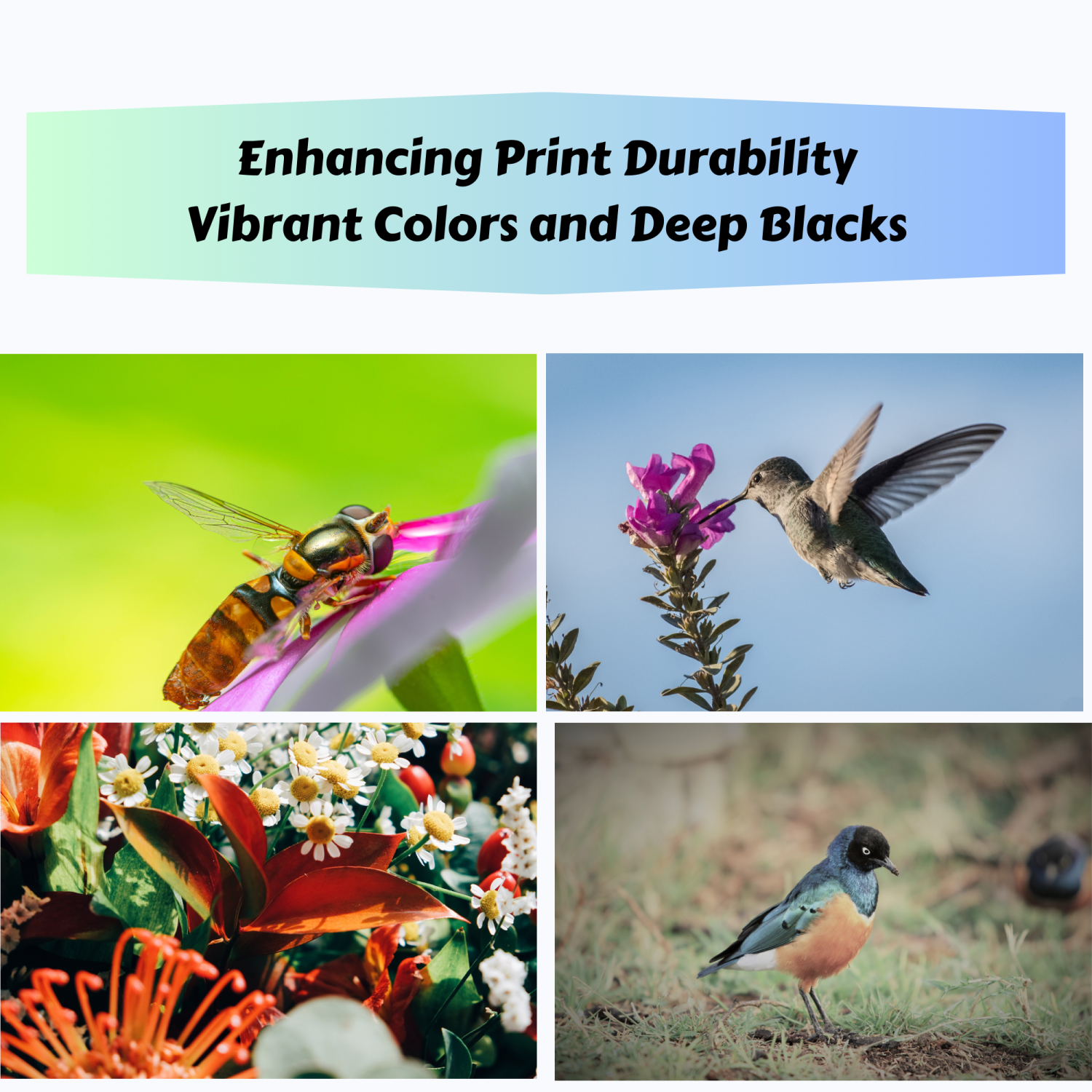 PRINTOXE® TN227 Brother Compatible Set High Yield TN223 | 4 Best Toner Cartridges TN 227 for HL L3210CW L3230CDW L3270CDW L3290CDW and MFC L3710CW