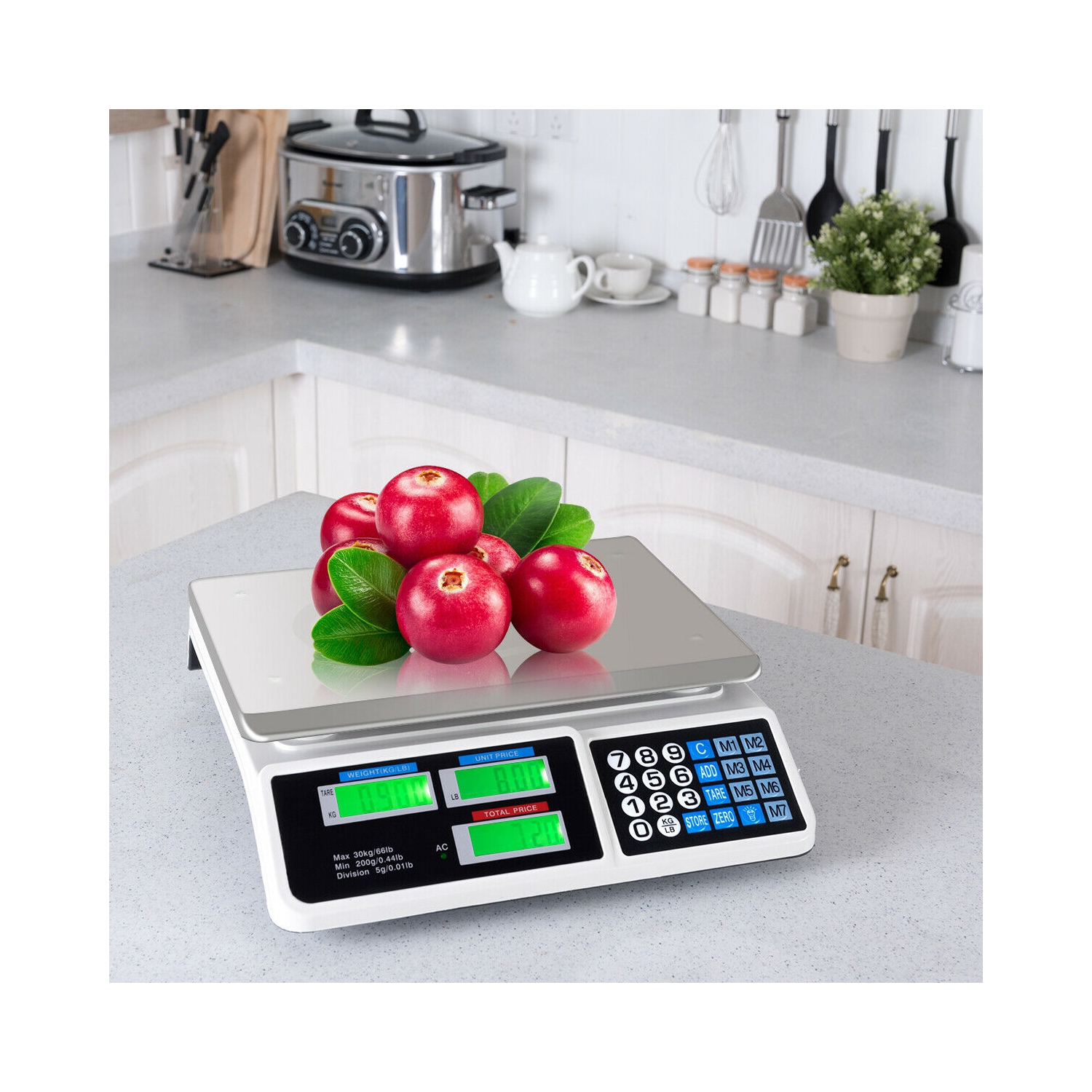 Costway 66Lbs Digital Weight Scale Price Computing Retail Count Scale Food Meat Scales