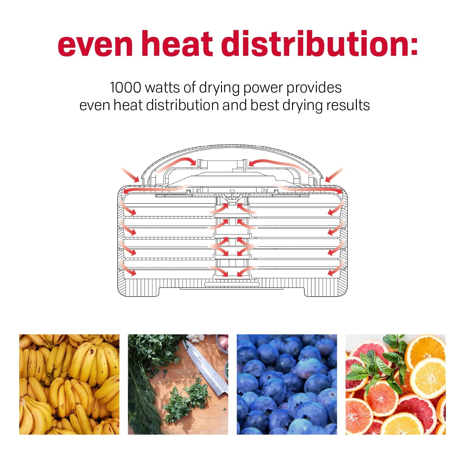 Nesco American 8 Tray Gardenmaster Pro Food Harvet Déshydrateur pour Jerky et Snacks - Blanc