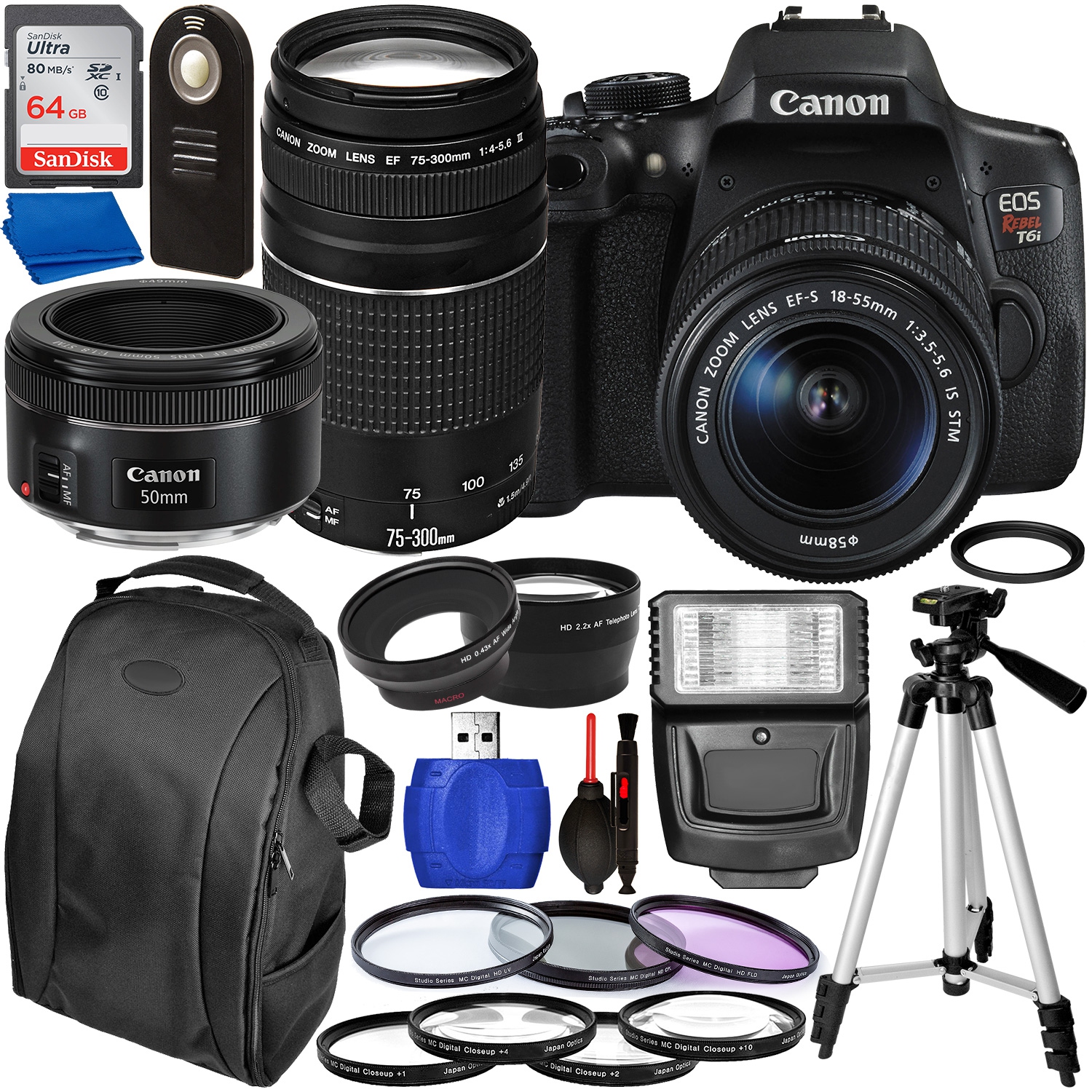 Canon EOS Rebel T6i DSLR Camera with 18-55mm, 75-300mm, & 50mm Canon Lenses & Accessory Bundle