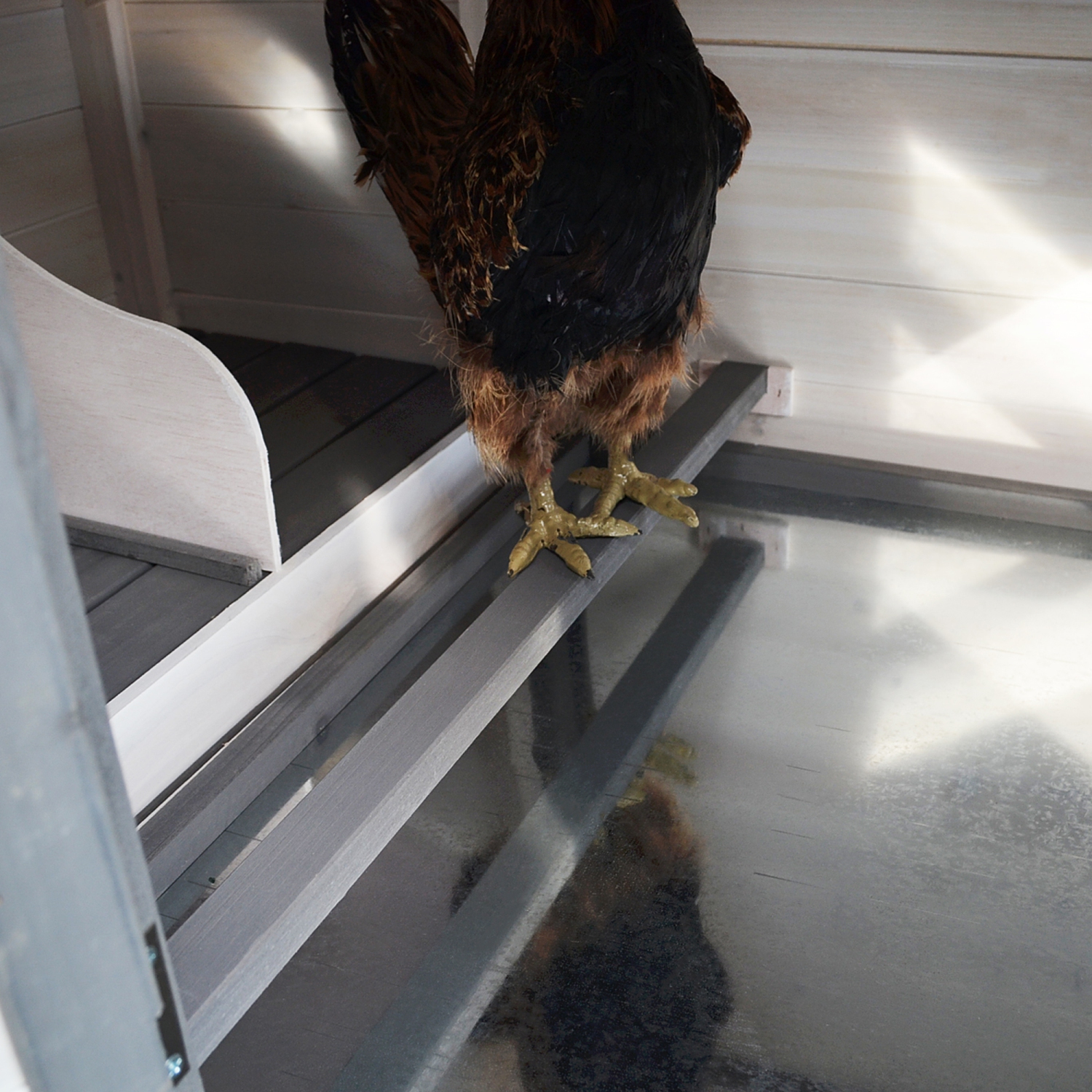 PawHut Poulailler cottage multi-équipement perchoir rampe pondoir enclos tiroir à déjection 196L x 77l x 99H cm bois massif pin gris blanc