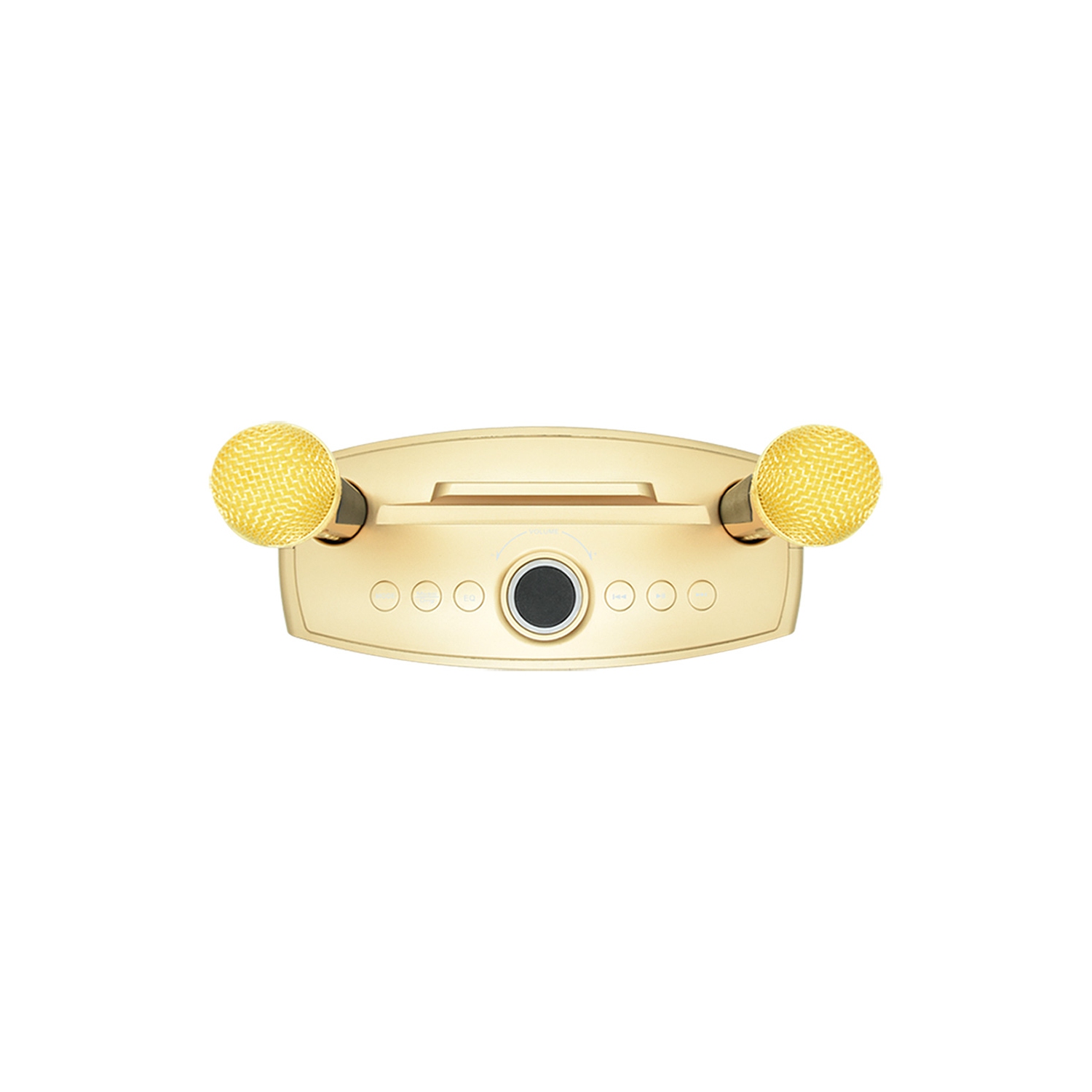 axGear Bluetooth Family KTV Portable Speaker Smart Phone Karaoke with 2 Wireless Mic