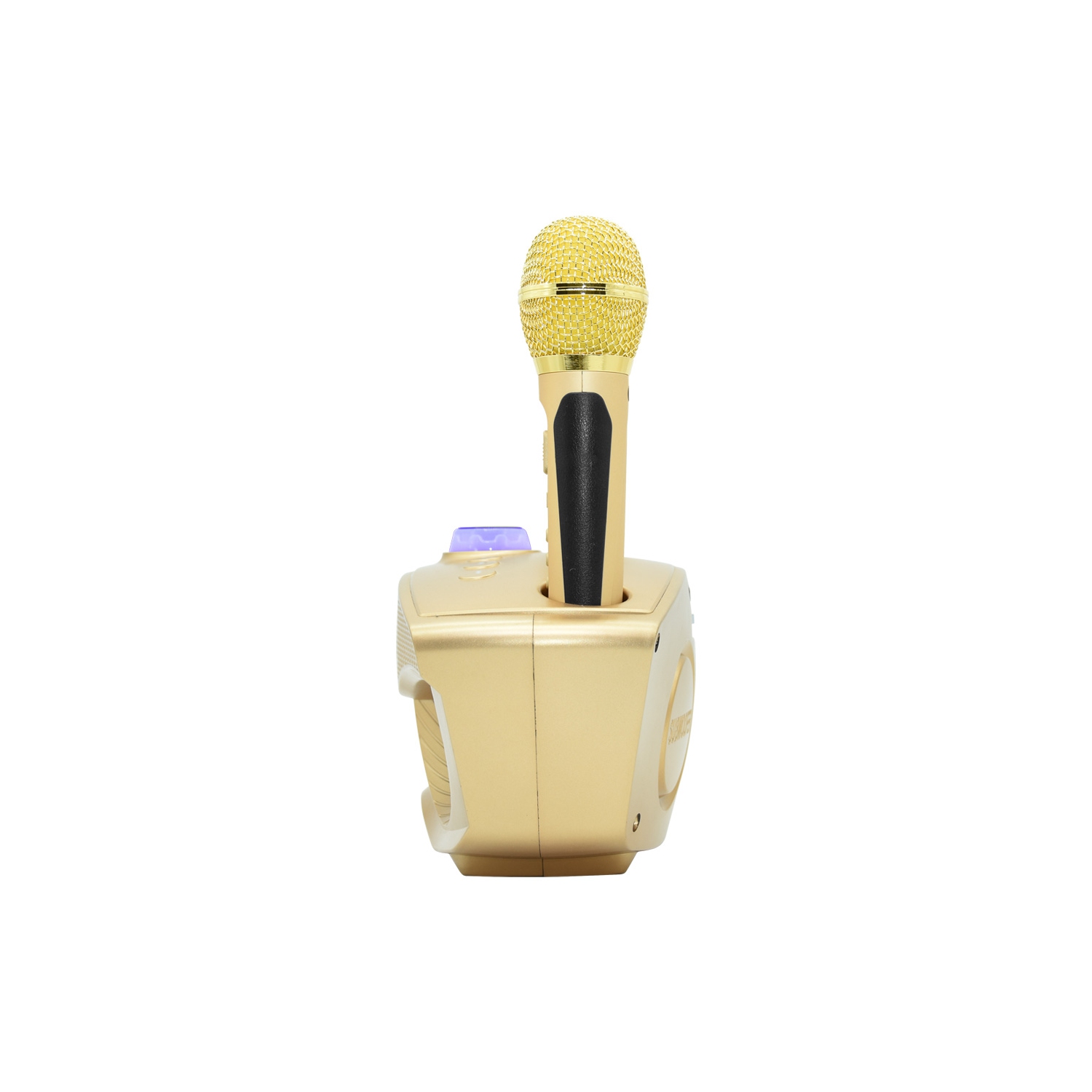 axGear Bluetooth Family KTV Portable Speaker Smart Phone Karaoke with 2 Wireless Mic