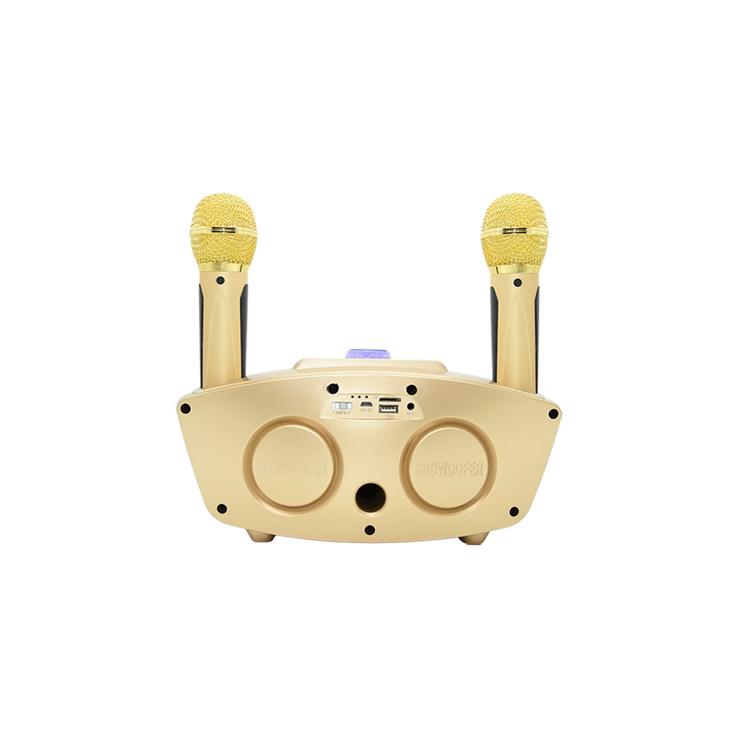 axGear Bluetooth Family KTV Portable Speaker Smart Phone Karaoke with 2 Wireless Mic