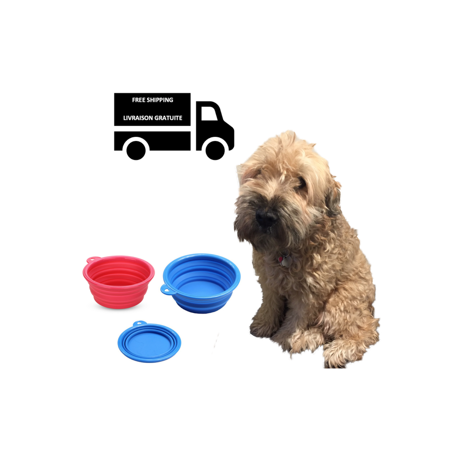 Stimula Lifestyle - All in One Collapsible Dog, Cat, Camping & Pet Bowl Set - Outdoor & Indoor Package of Blue & Red