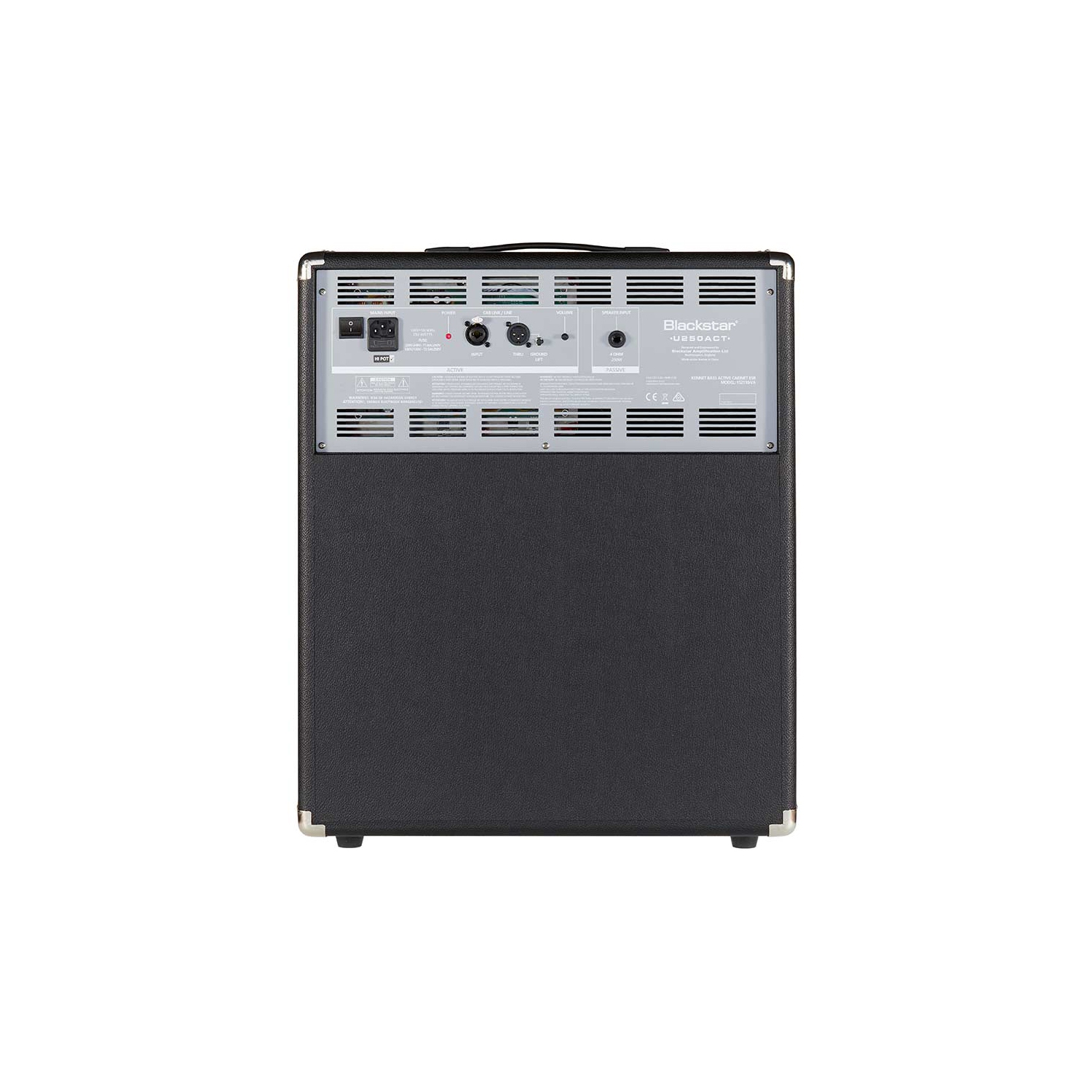 Blackstar Unity 250 Active Extension Cab