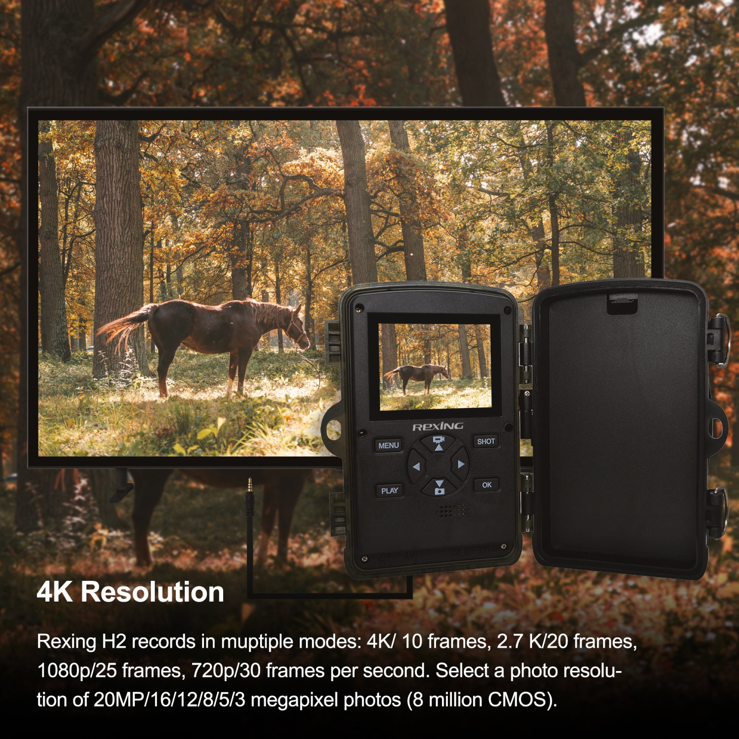 Caméra de sentier Wi-Fi 4K H2 de Rexing avec vision nocturne Ultra pour la chasse et la surveillance de la faune
