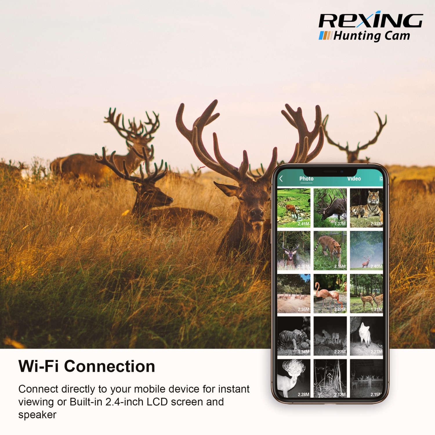 Caméra de sentier Wi-Fi 4K H2 de Rexing avec vision nocturne Ultra pour la chasse et la surveillance de la faune