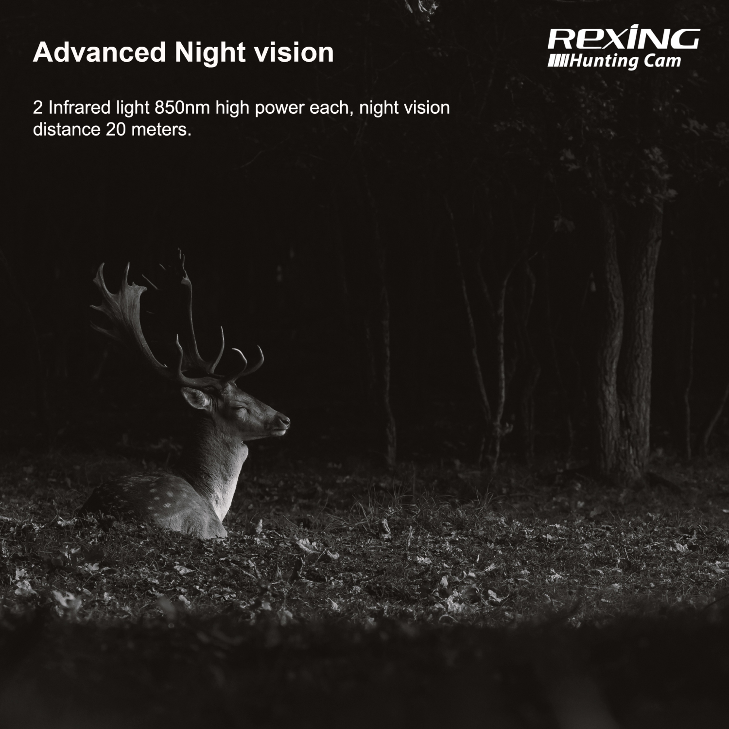 Caméra de sentier Wi-Fi 4K H2 de Rexing avec vision nocturne Ultra pour la chasse et la surveillance de la faune