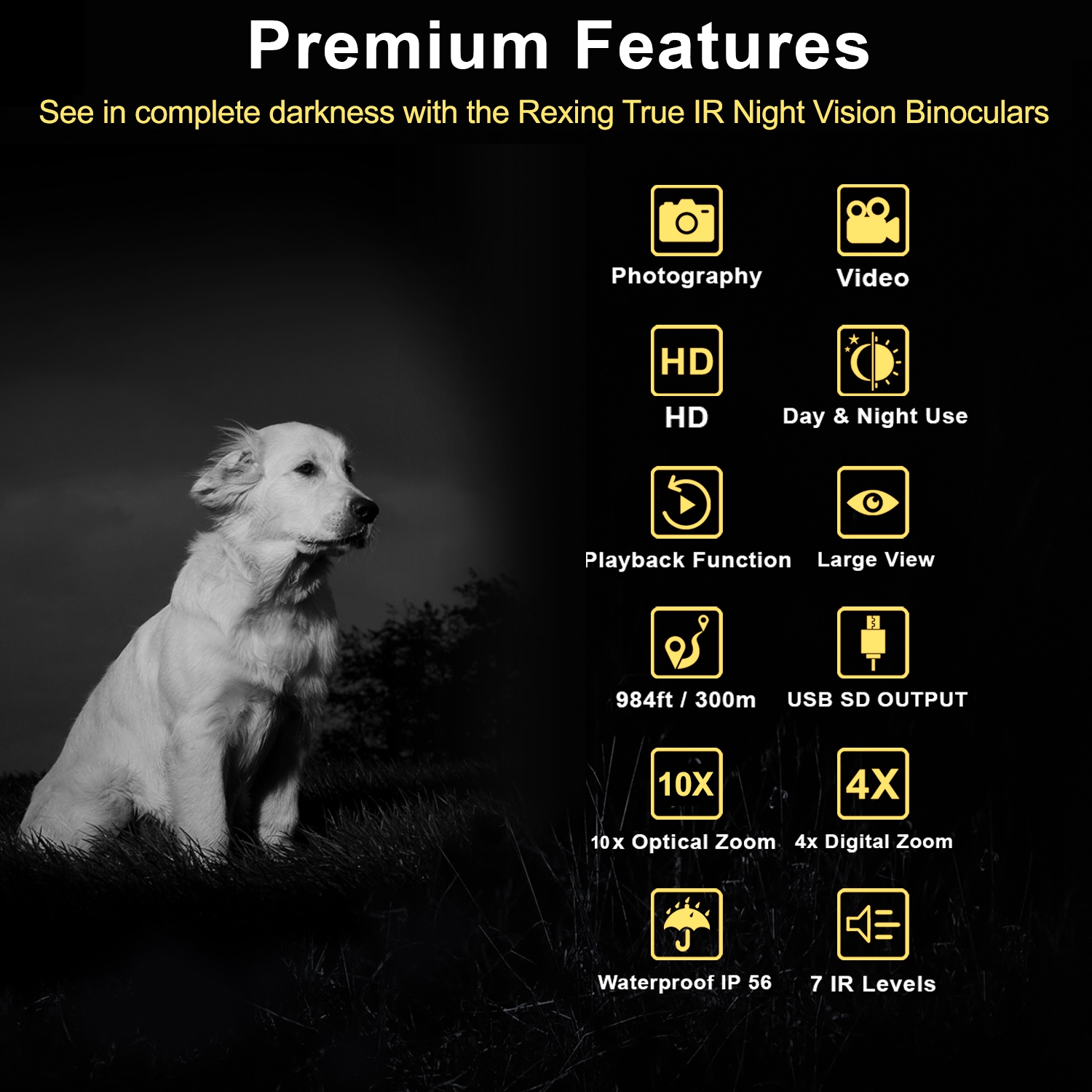 Jumelles numériques à vision nocturne IR B1 de Rexing - Noir