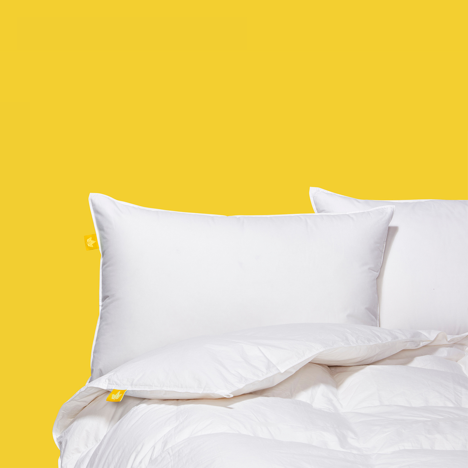 Douillette en plumes et duvet blanc de Canadian Co – Lit simple, poids toutes saisons