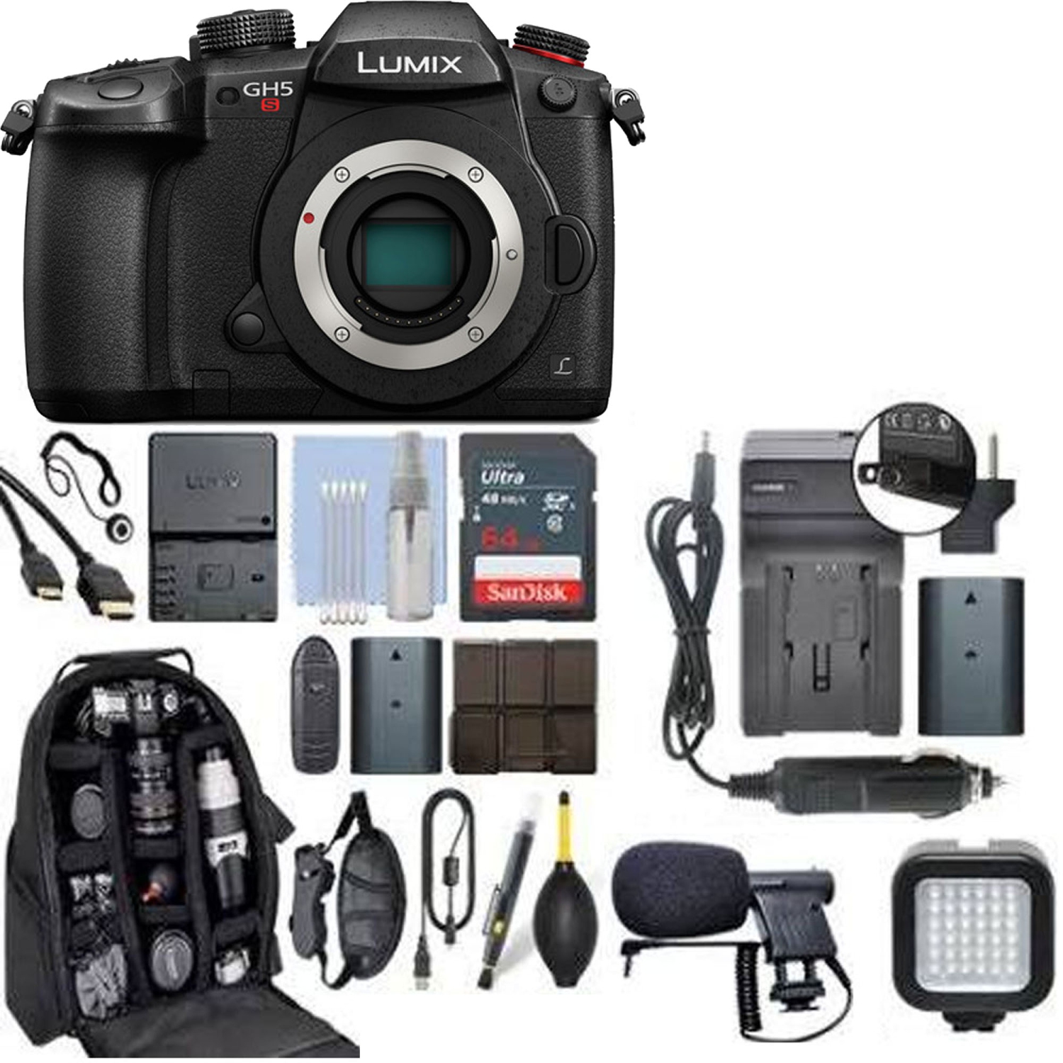 Panasonic Lumix DC-GH5S Mirrorless Micro Four Thirds Digital Camera with Essential Bundle - US Version w/ Seller Warranty