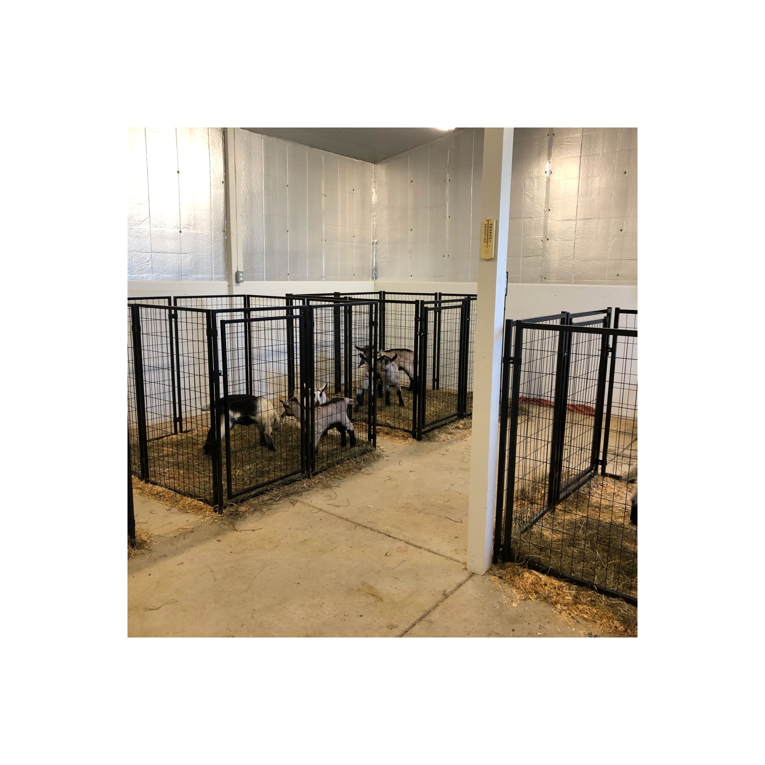 ALEKO® 2DK5X5X4SQ Dog Kennel Heavy Duty Pet Playpen 10X10X4 Foot Dog Exercise Pen Cat Fence Run for Chicken Coop Hens House